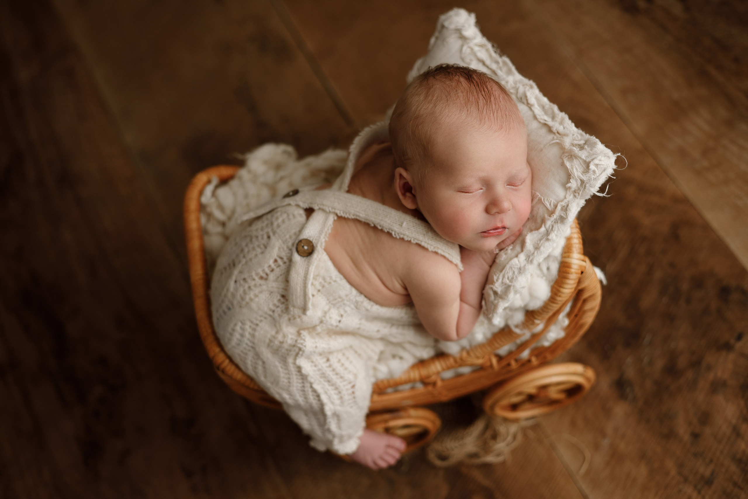 Лев пакет Малыш и семья с фотокнигой. Фотограф новорожденных ньюборн newborn в Краснодаре Алена Гребенькова