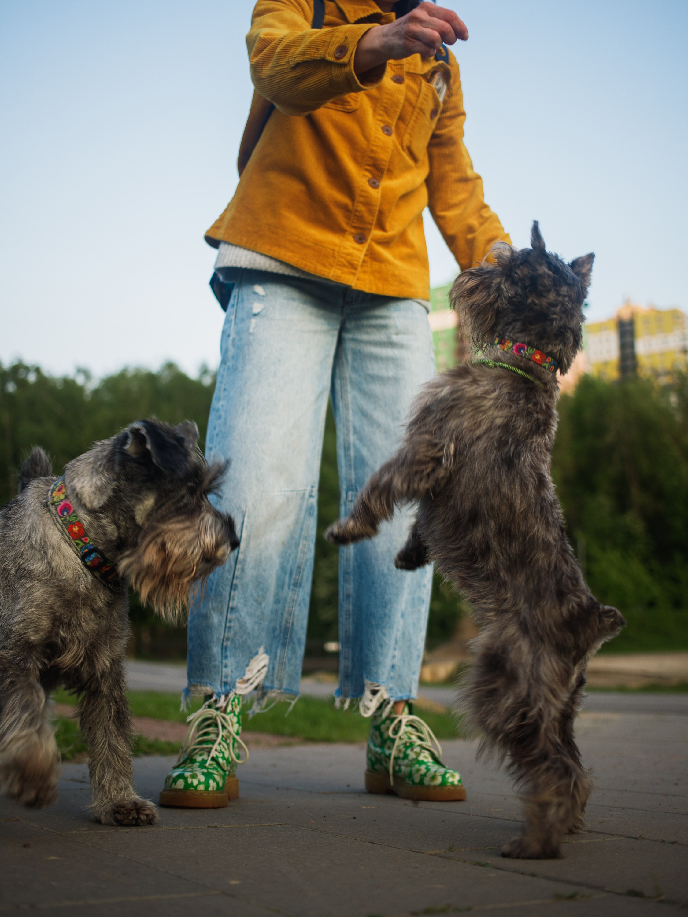 Ольга Ро и Иви. Портретный фотограф в Санкт-Петербурге Катя Протасевич