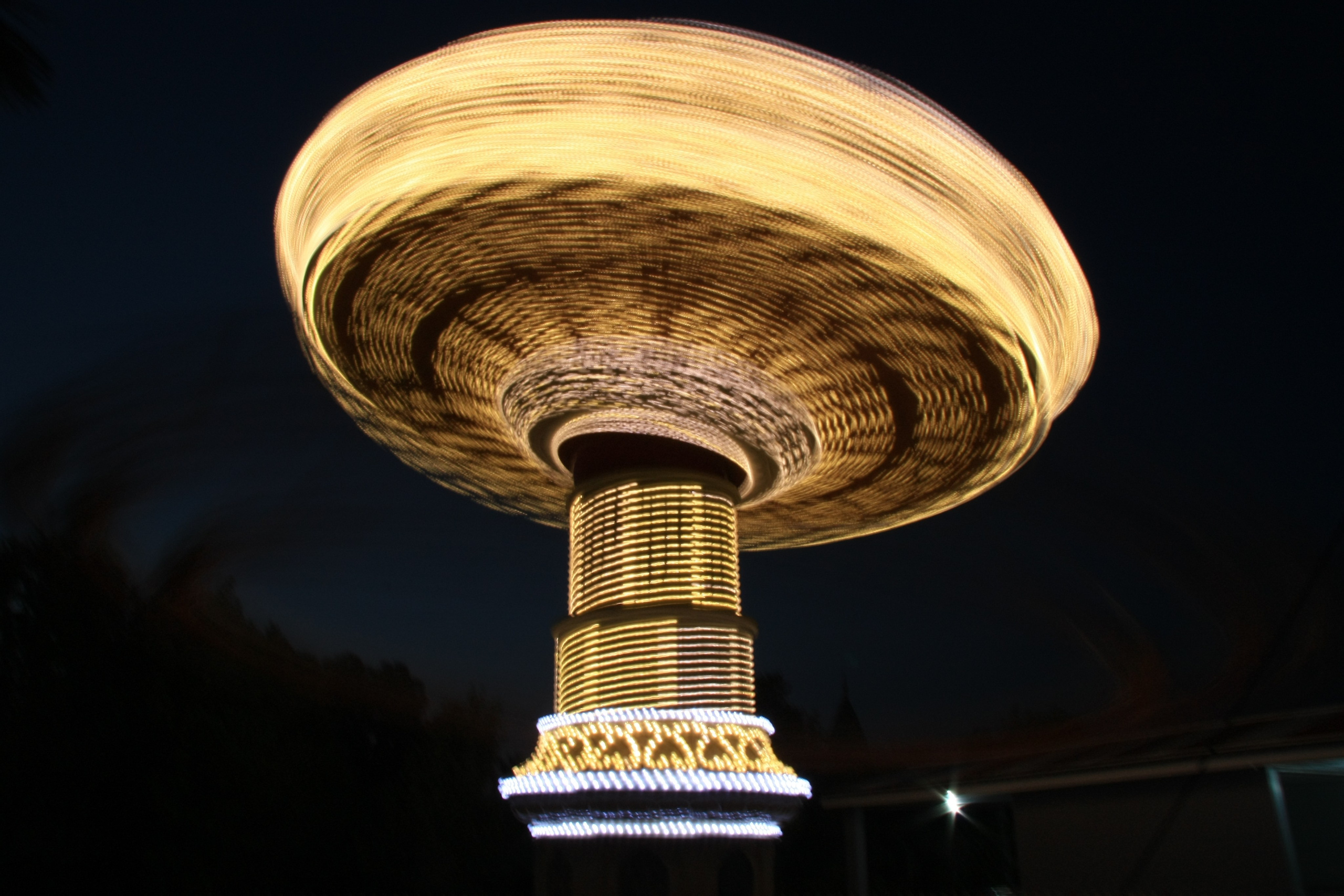 Первые кадры. Сочи — парк. Фотограф Роман Адлер