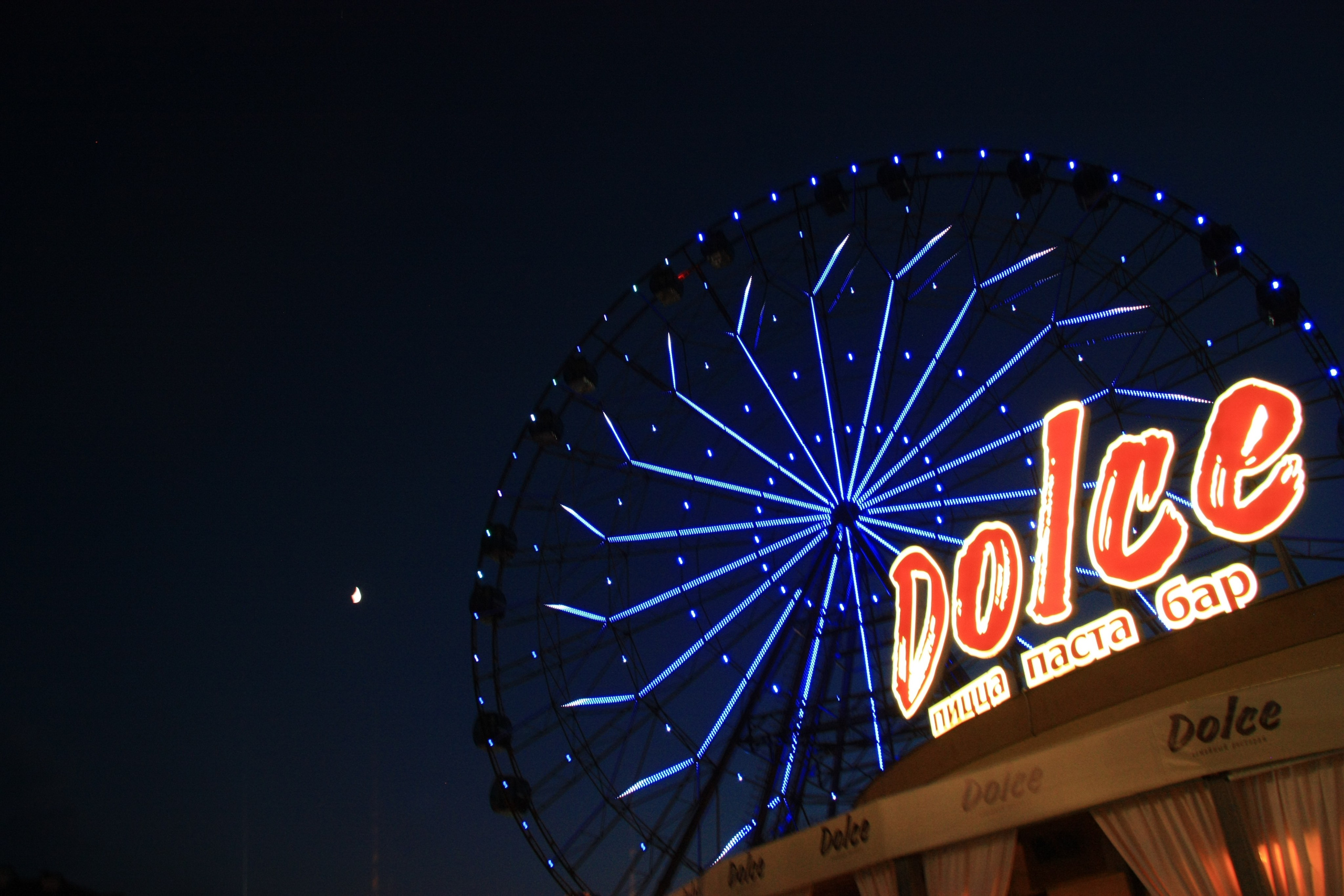 Первые кадры. Сочи — парк. Фотограф Роман Адлер