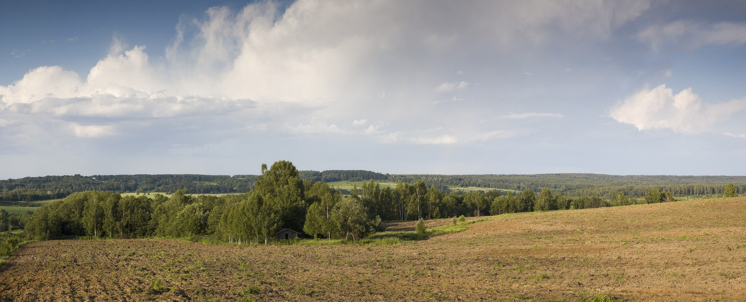 Клинско-Дмитровская гряда