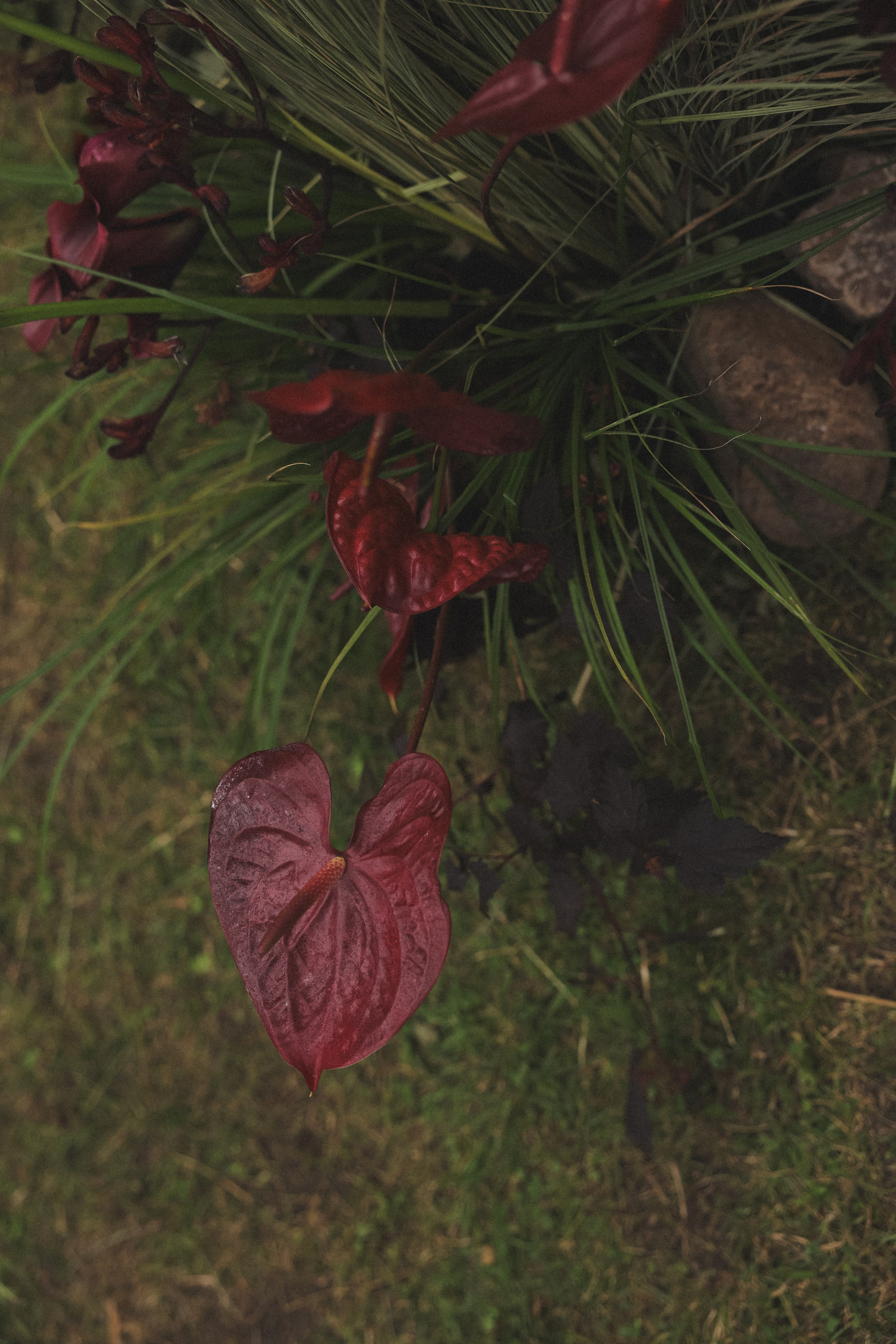 Dima & Veronica. Портретный и свадебный фотограф в Нижнем Новгороде | Анна Бейль