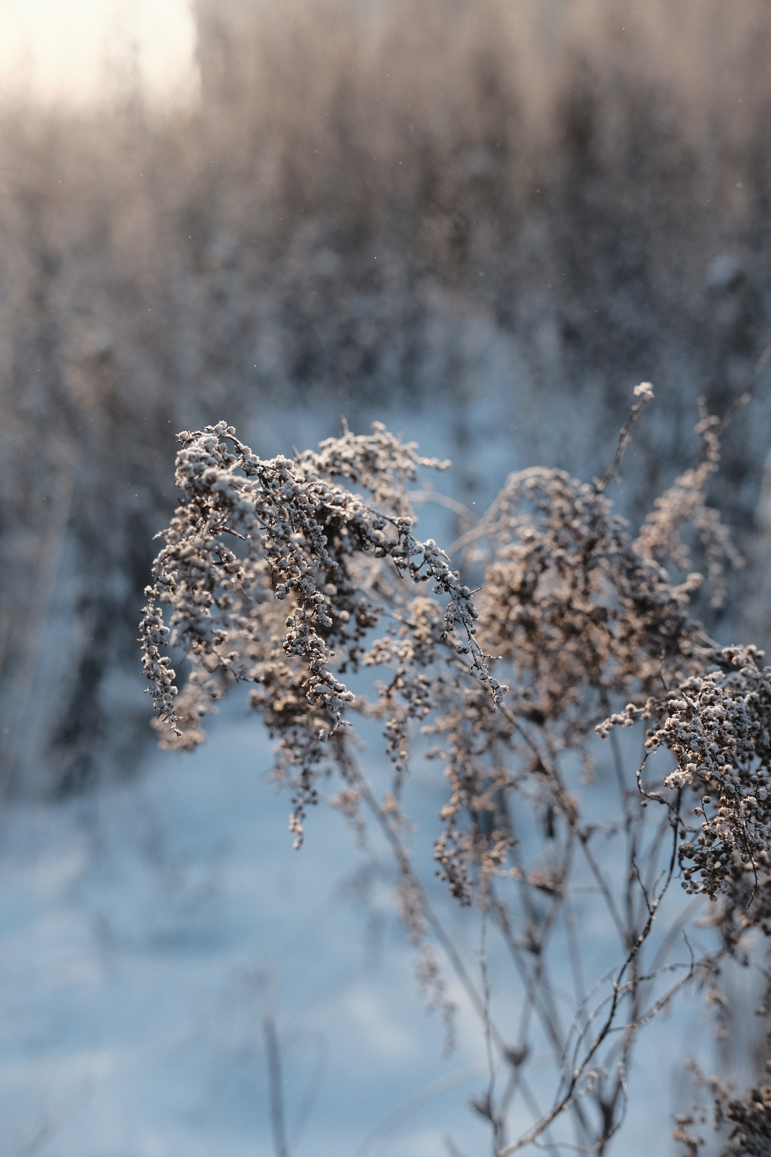 Наблюдения. Семейный фотограф в Новосибирске Артём Кузнецов