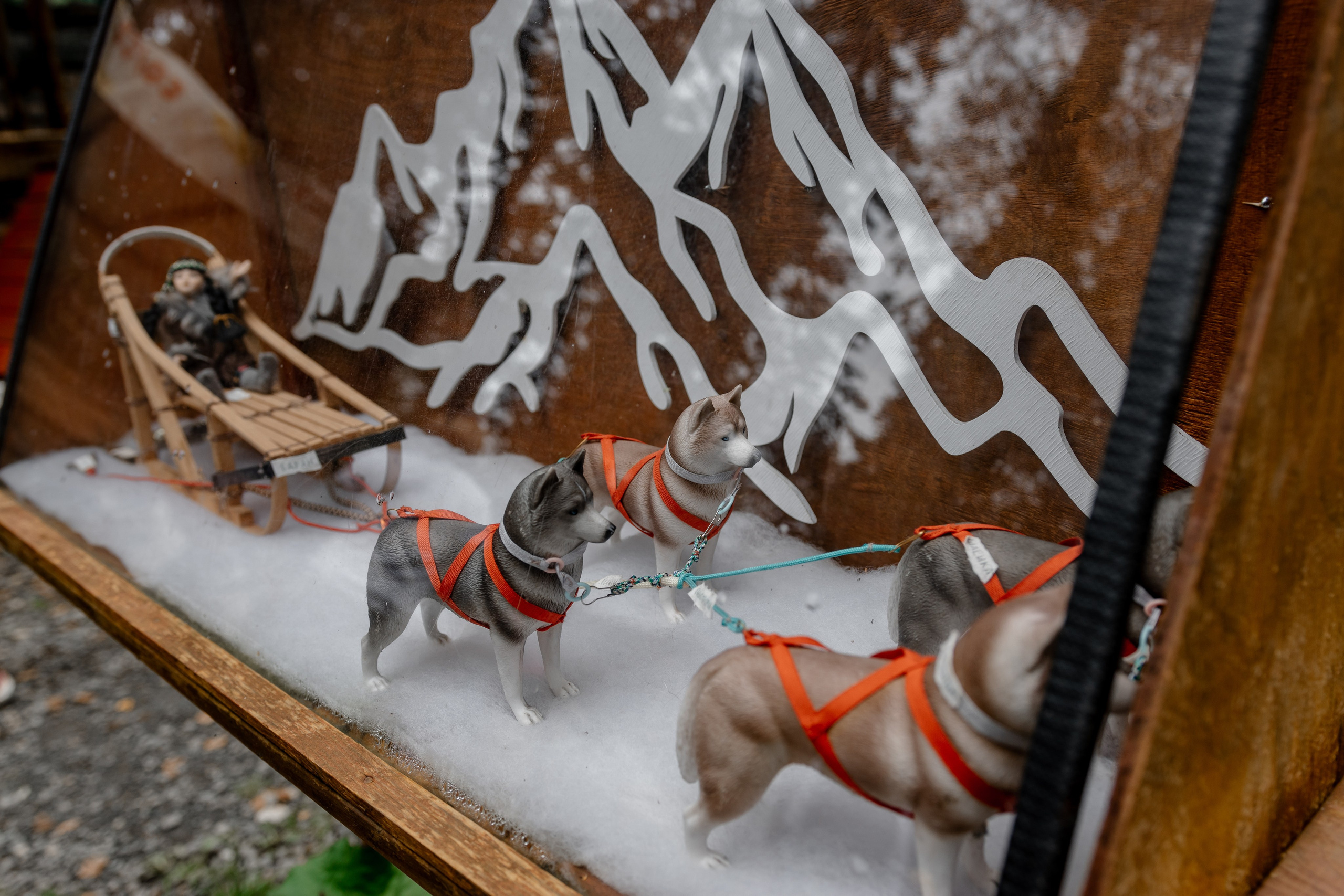 Дог-треккинг