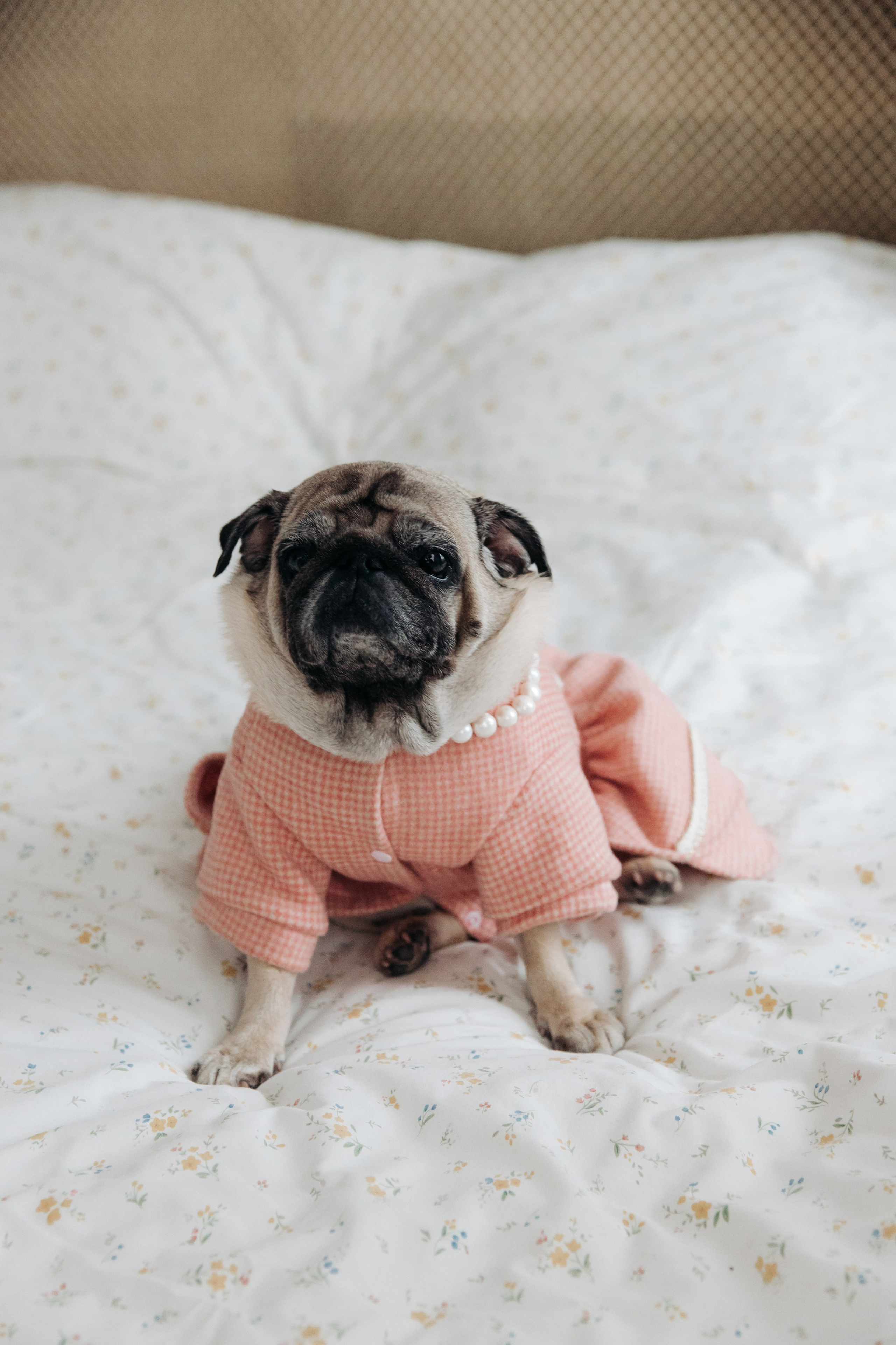 8 марта. Главная