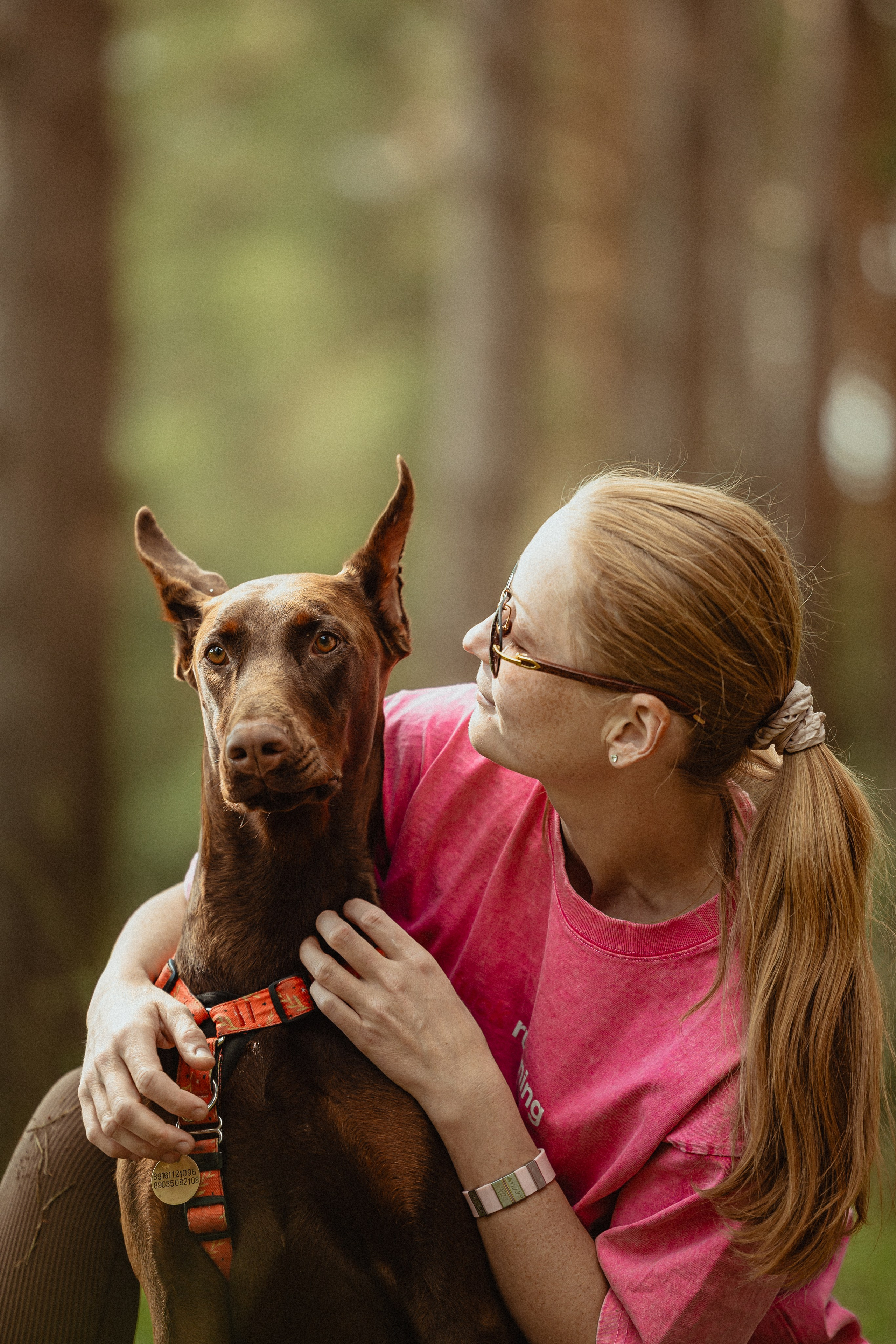 Выездной дог-тренинг от школы «Шерсть имею»