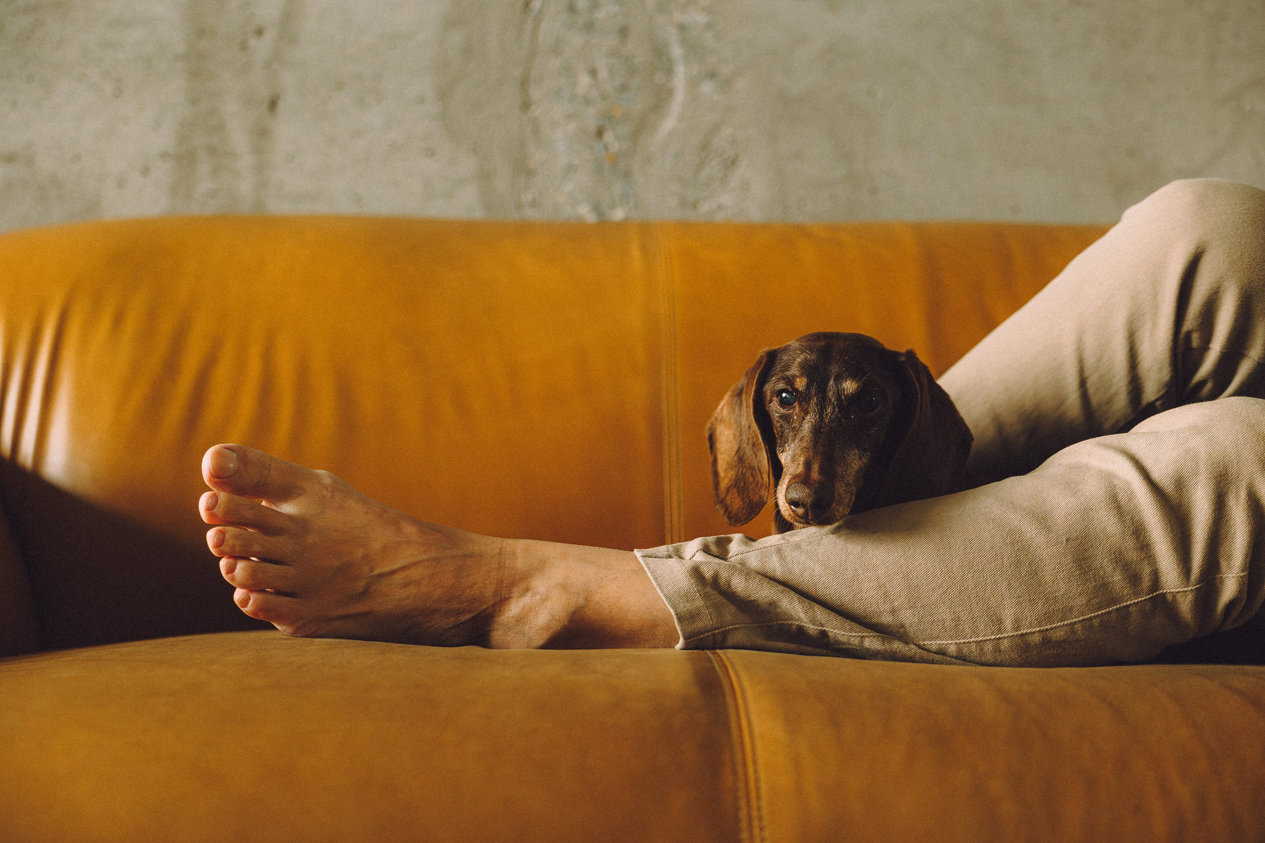 Кокос, Света, Динара и Вилли