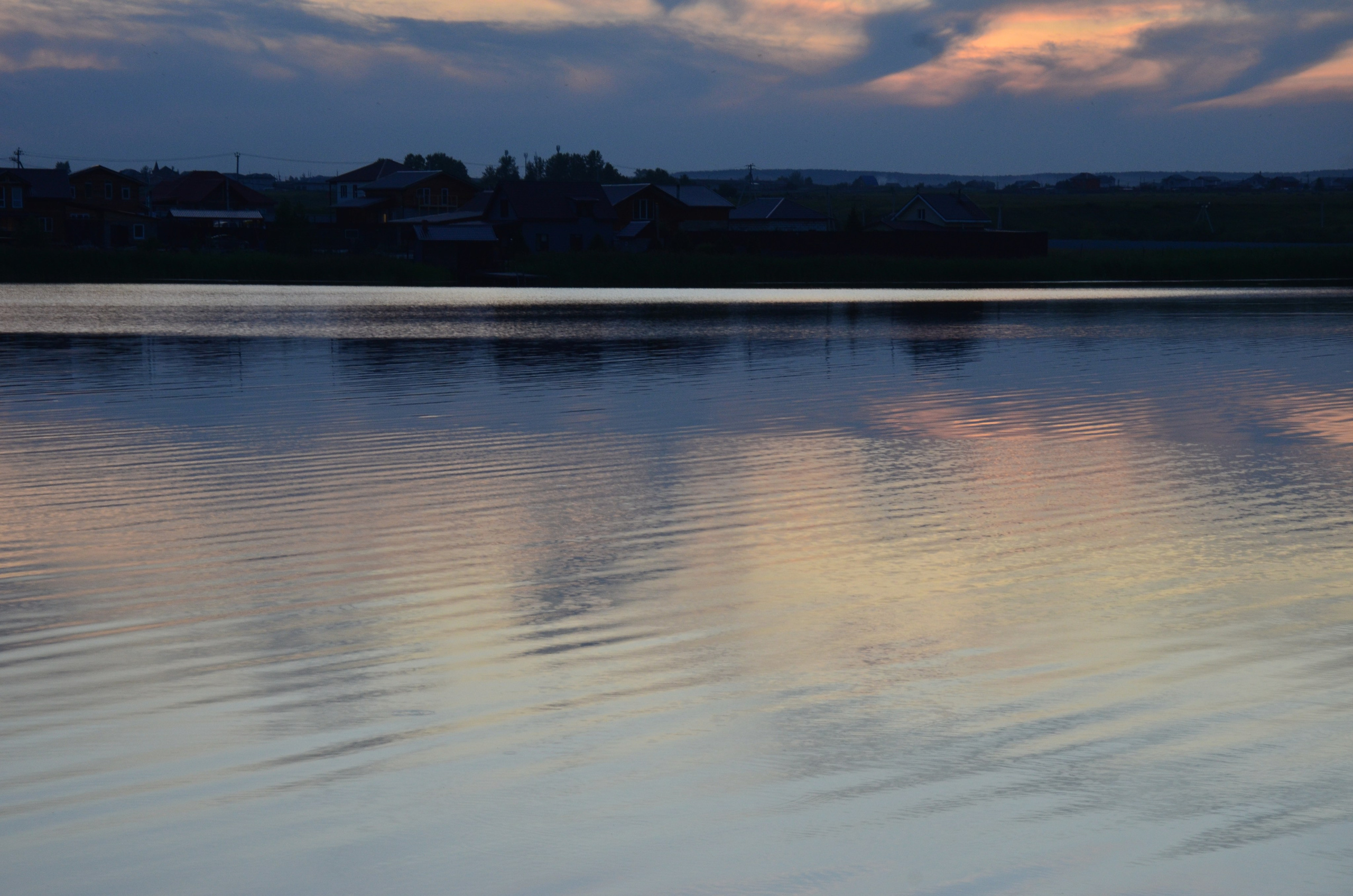 Дары природы. Фотограф viktor viktor