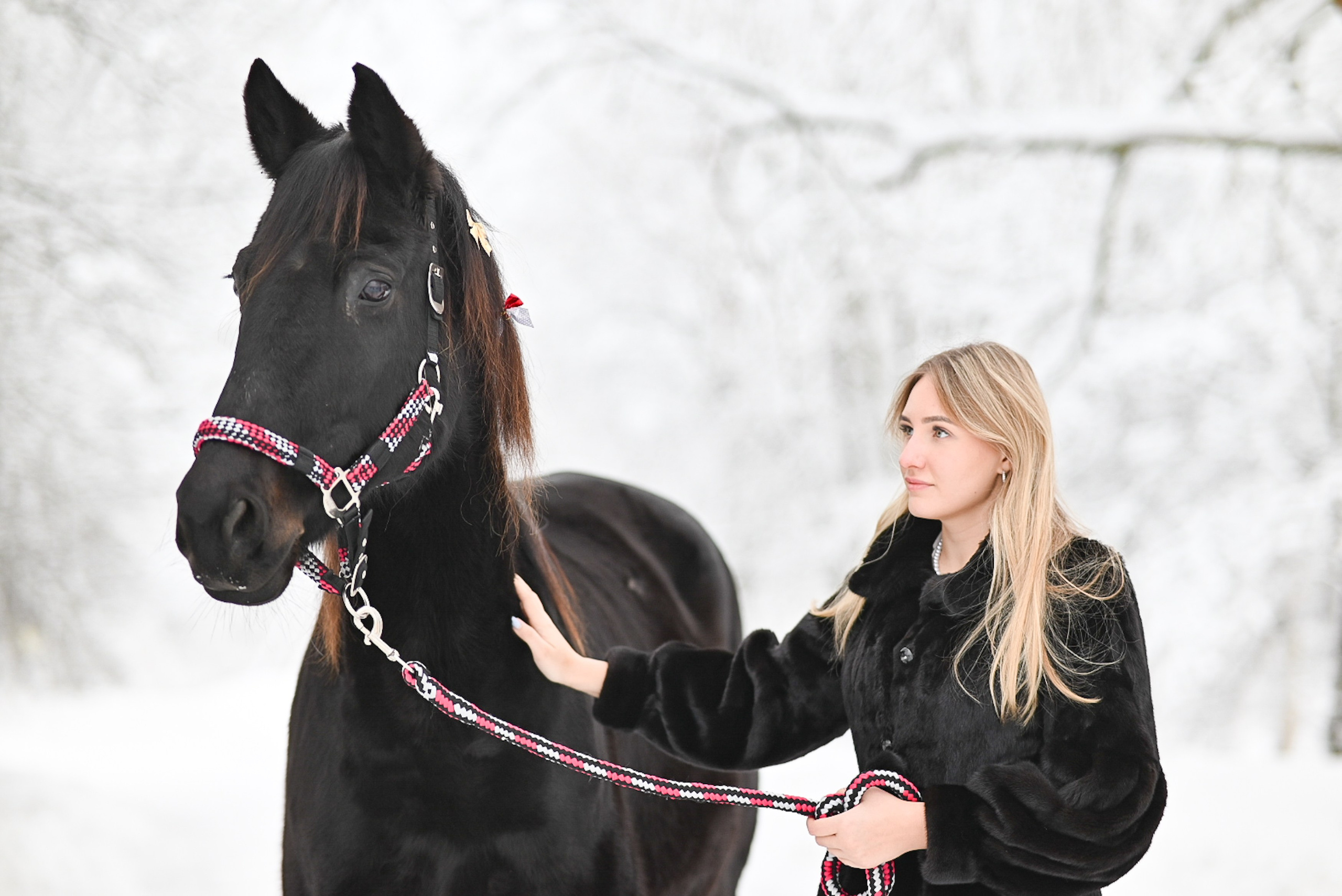 King. LifeStyle фотограф Анна Воробьёва Санкт-Петербург