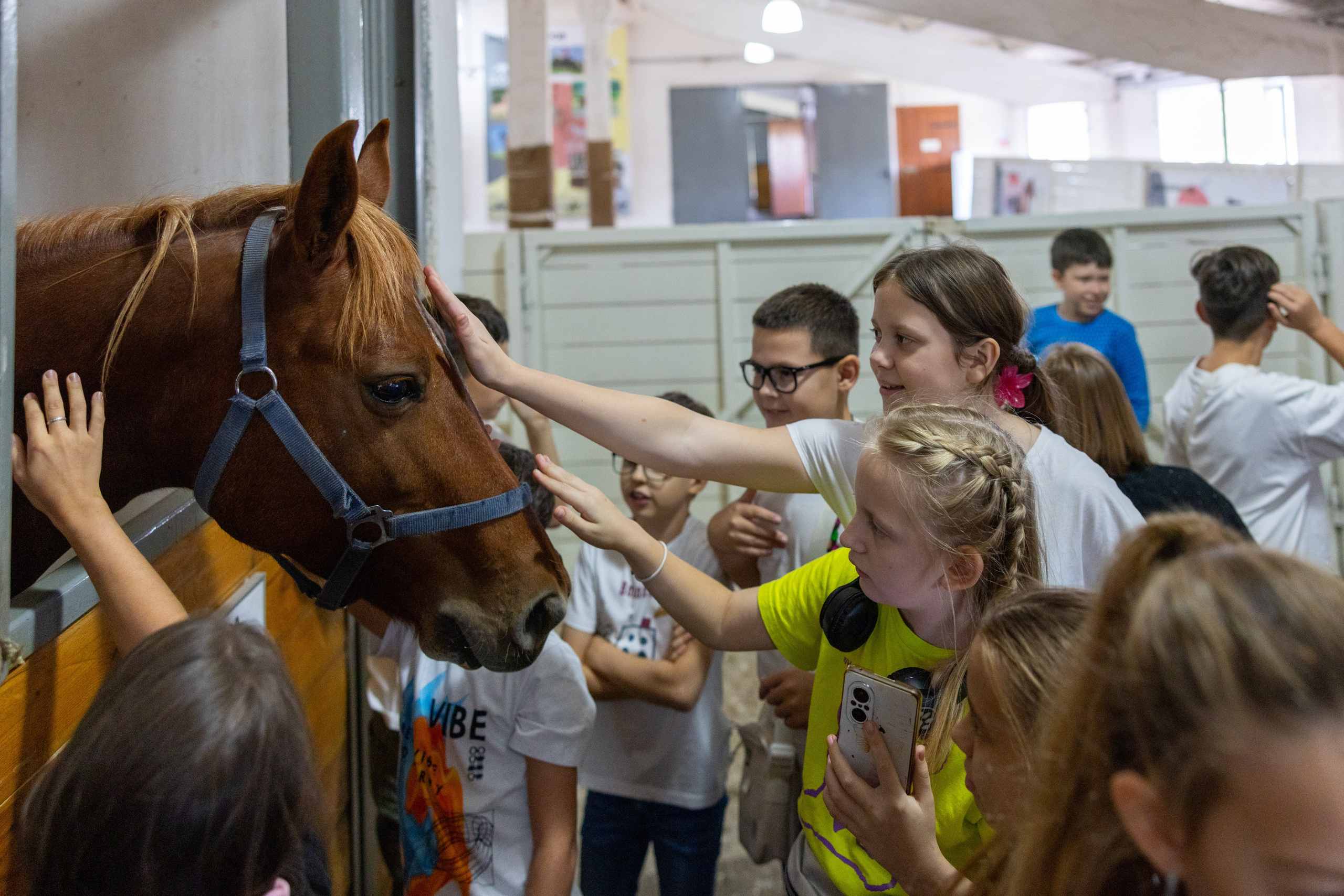 Поездка на поле Кулеково. Фотограф в Туле Крупский АнДРей. Фотостудия «КАДР71» в Туле