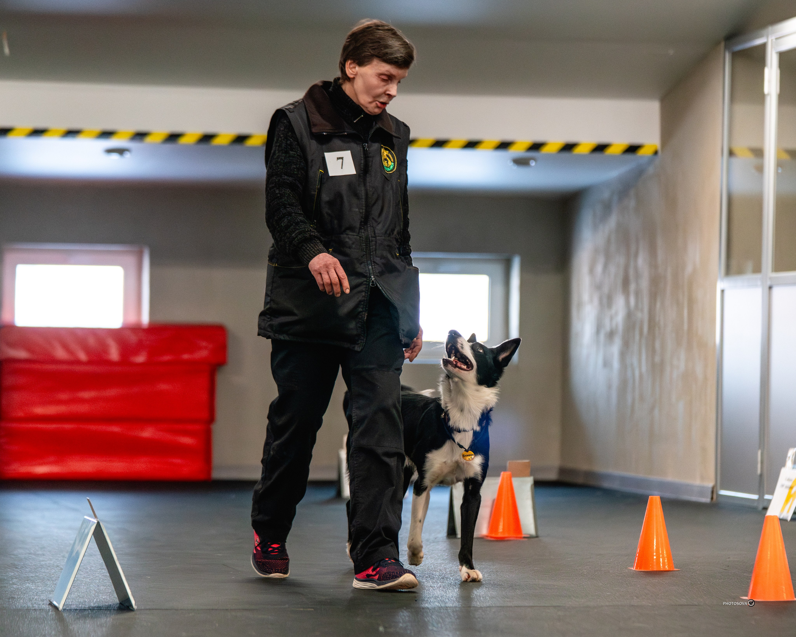 ТЫ И Я (соревнования по ралли-обидиенс). Фотограф-анималист, семейный фотограф в Москве и Подмосковье. Фотосъёмка кинологических дисциплин