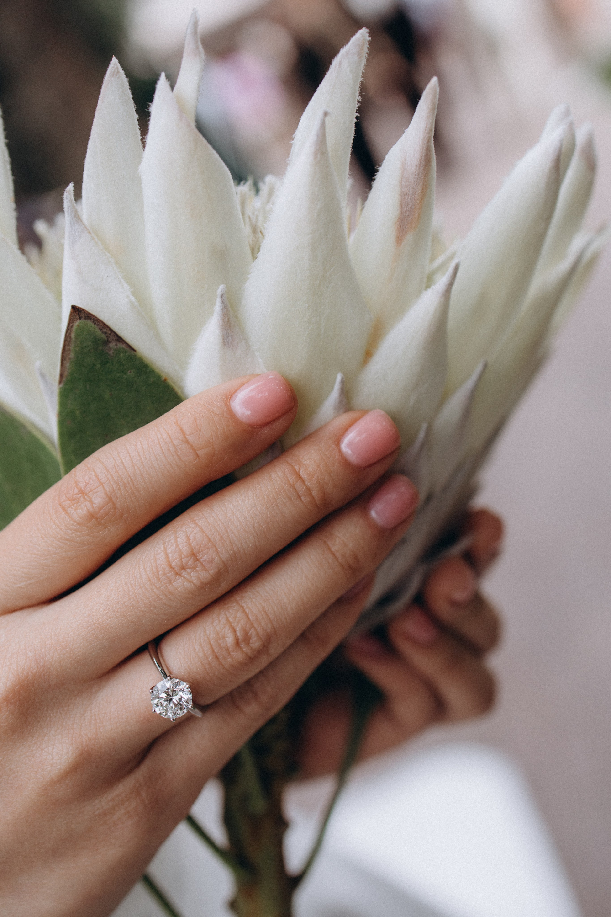 Давай навсегда…. Семейный фотограф в Москве, Щелково, Фрязино _ Виктория Степанова