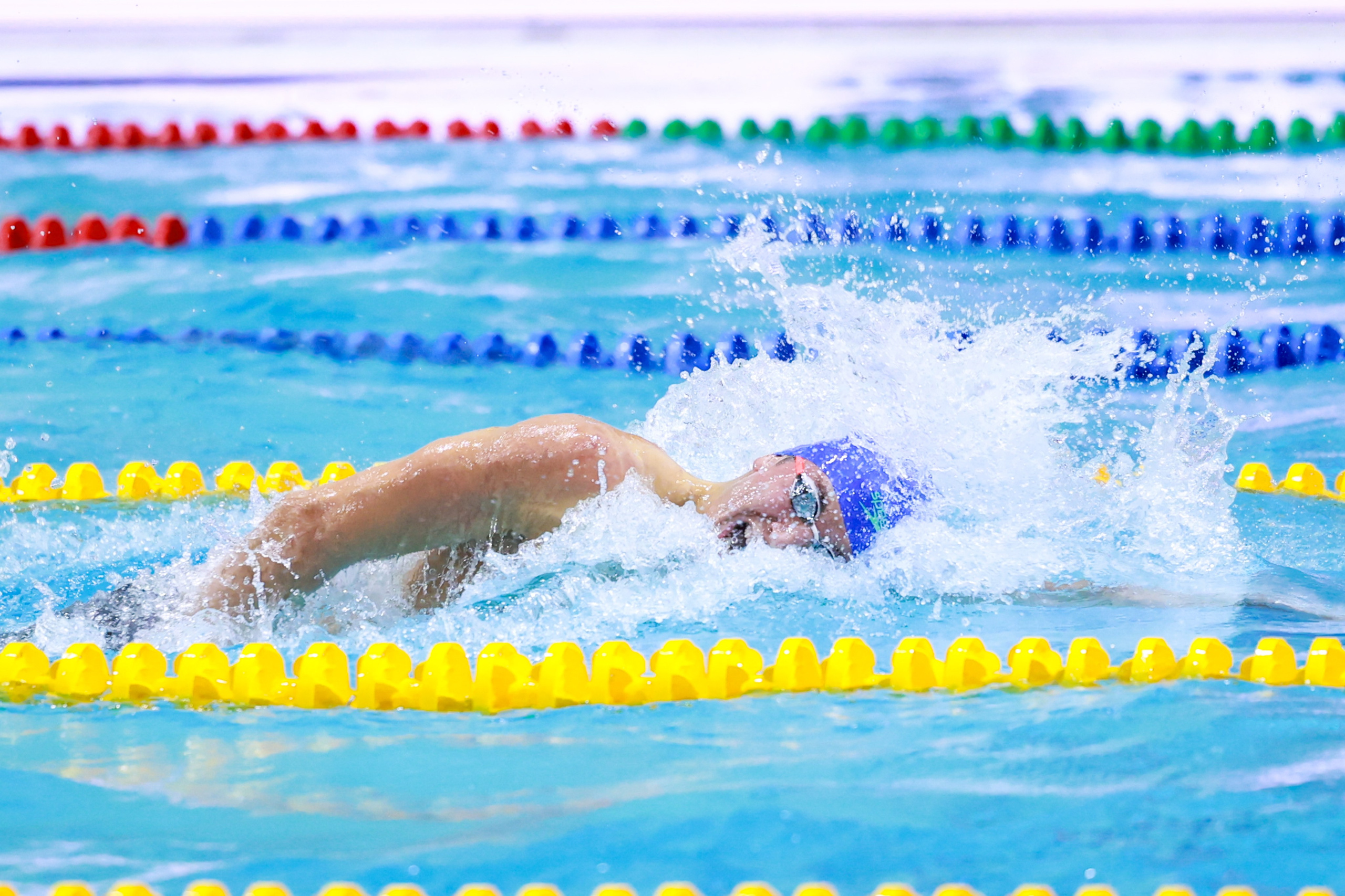 Чемпионат России по плаванию 25 м 21-26.11.2024. Спортивный и репортажный фотограф Антон Тереханов