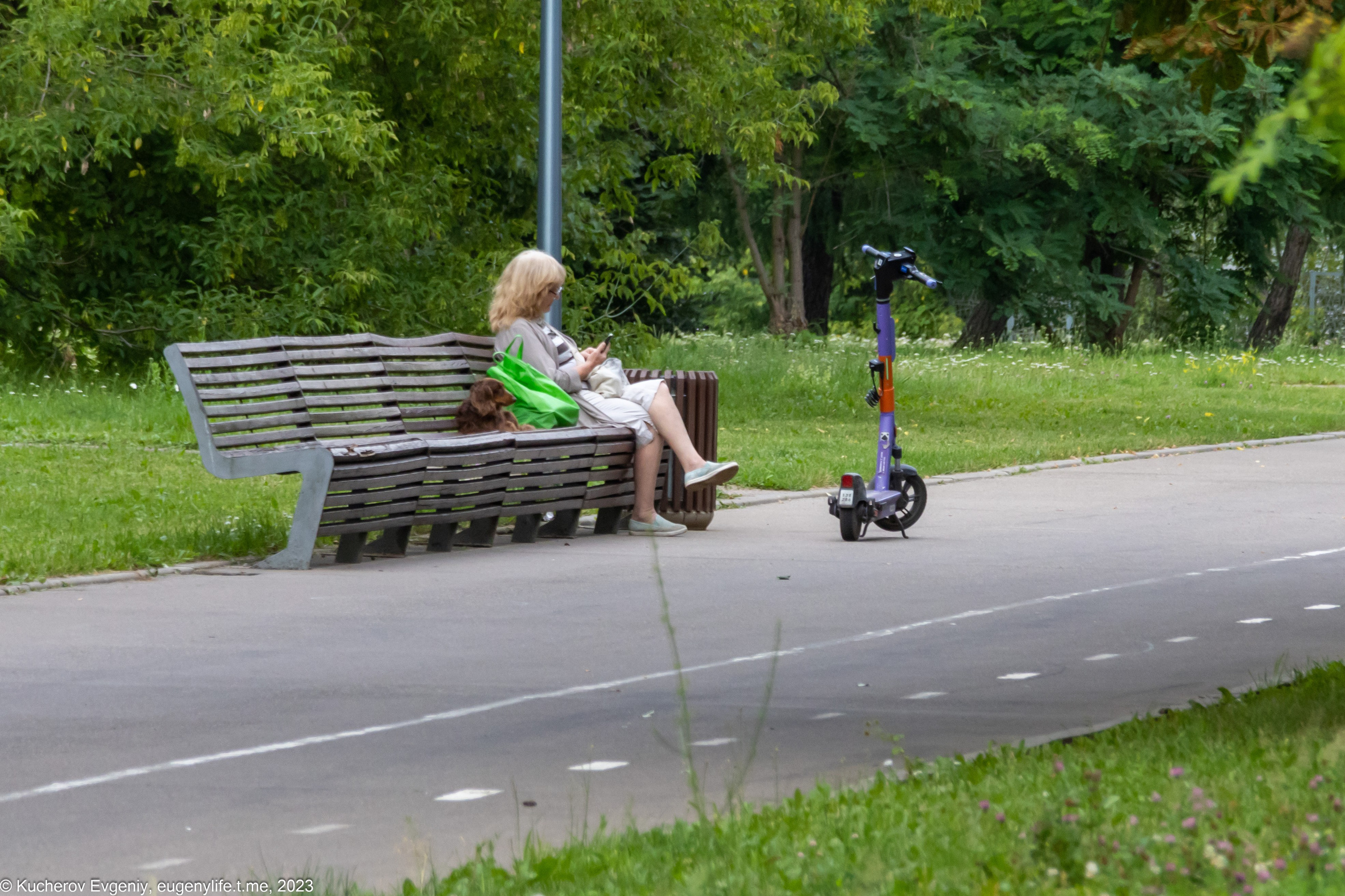 Скамейки. Кучеров Евгений. Фотограф