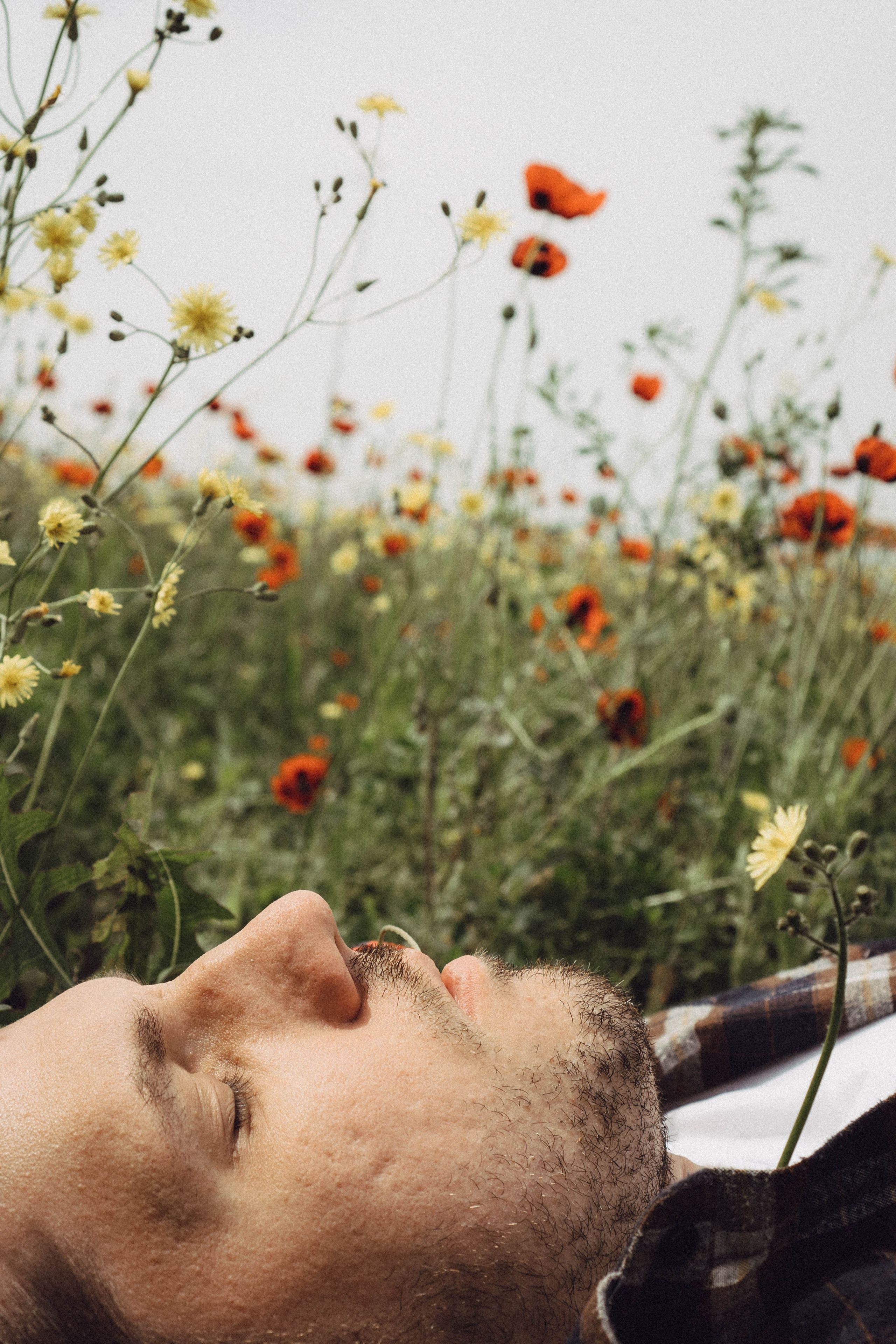 Маки. Профессиональный фотограф, Санкт-Петербург — Виктория Богомолова
