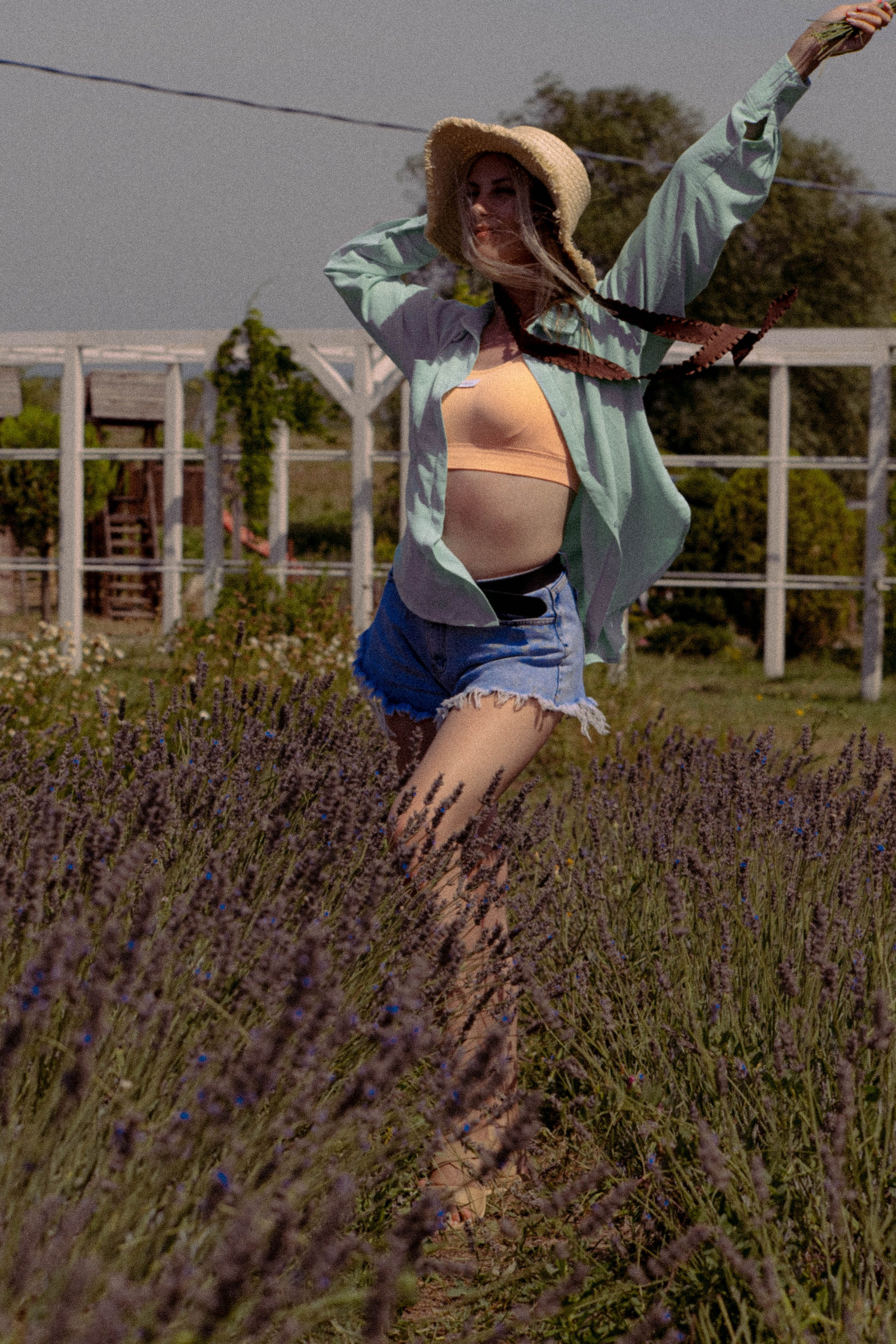 ЛАВАНВОДОВОЕ ПОЛЕ. Профессиональный фотограф, Санкт-Петербург — Виктория Богомолова