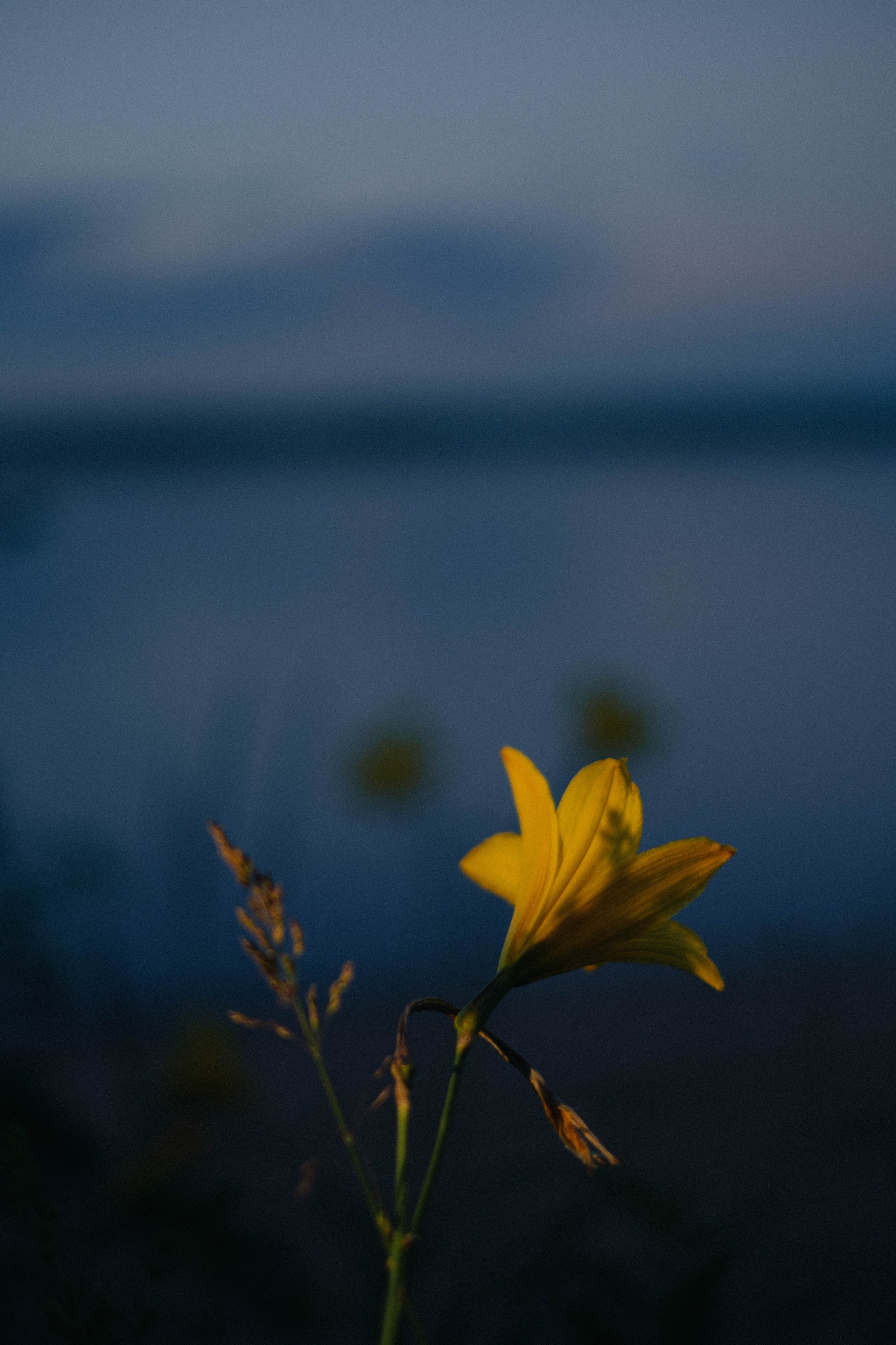 Зеленая. Фотограф Благовещенска Яна