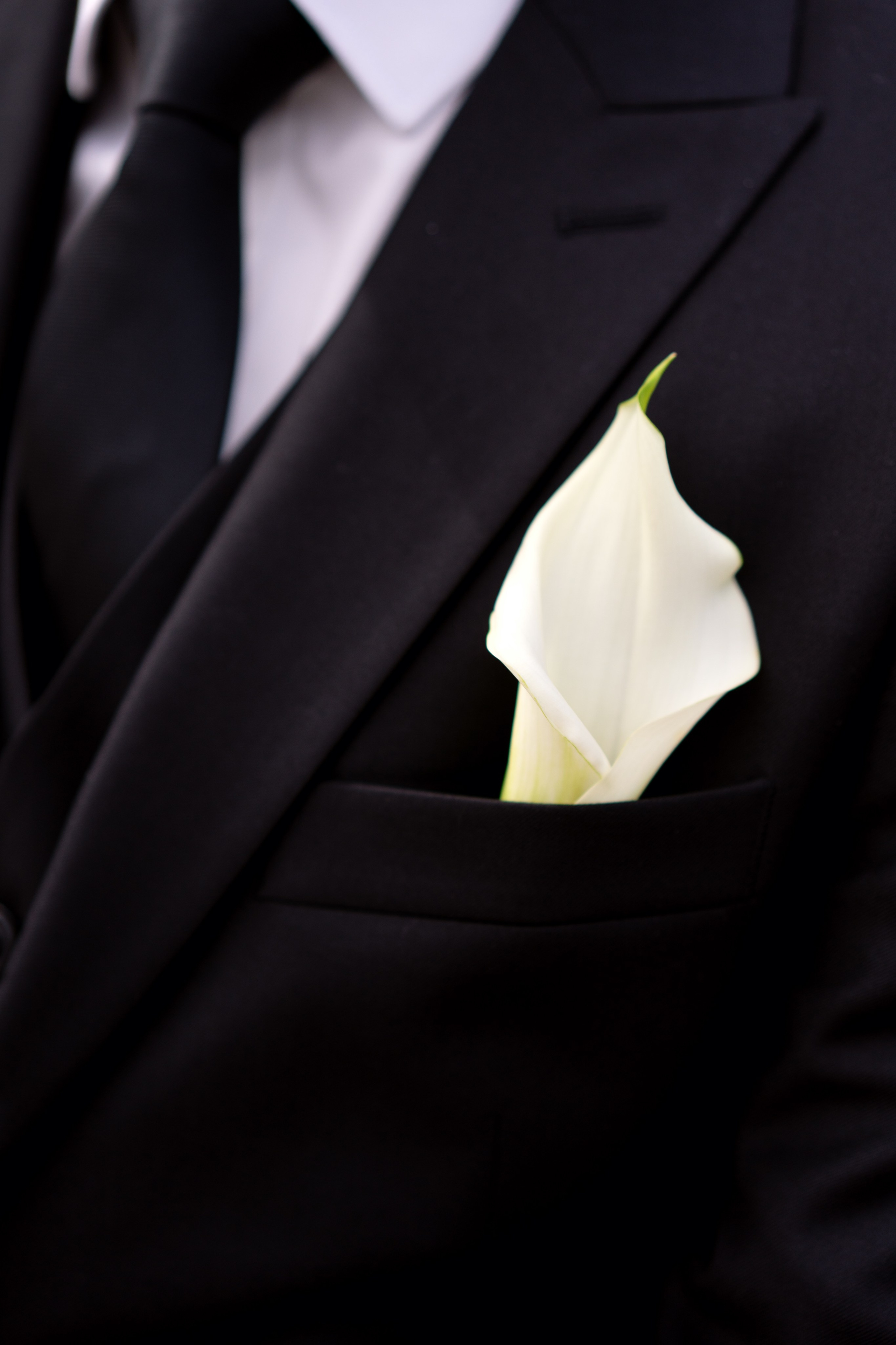 Павел и Елизавета. Семейный и свадебный фотограф Минск, Беларусь Анна Орловская