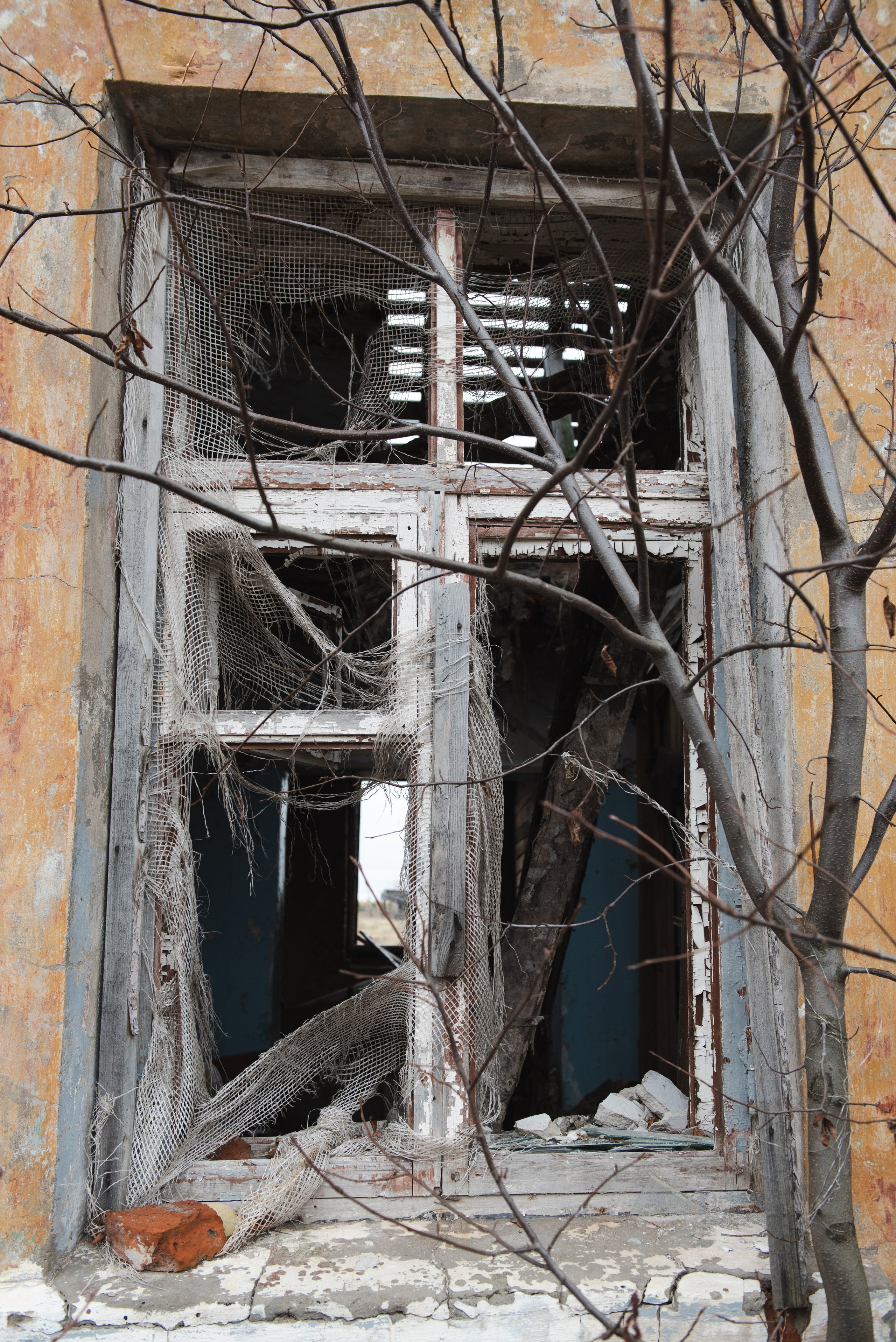 Олеся. Портретный и архитектурный фотограф в Москве и Санкт-Петербурге