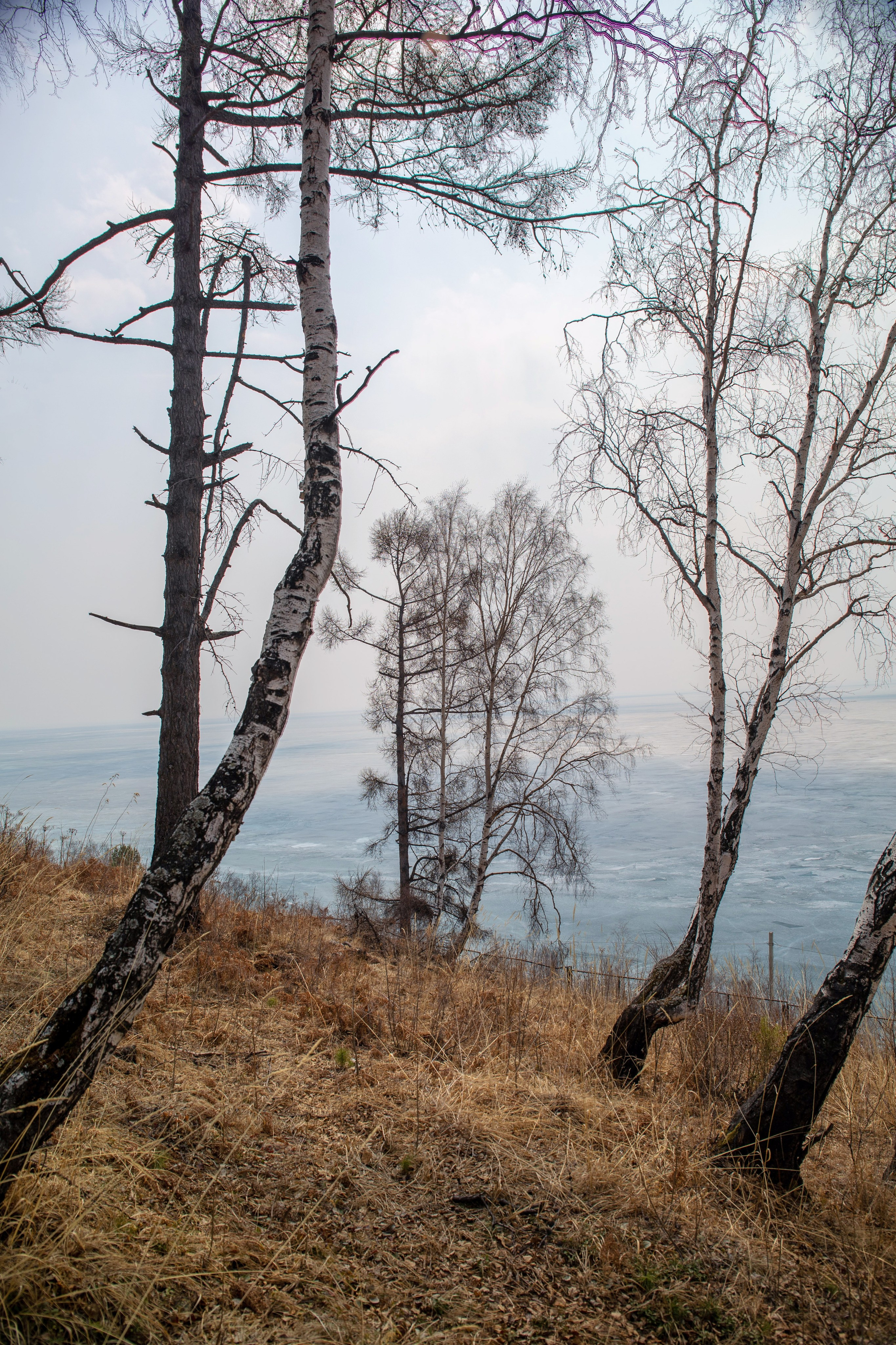 ПРИРОДА. Слепки времени. Фотографии природы и событий. Москва. Сергей Аллагулов