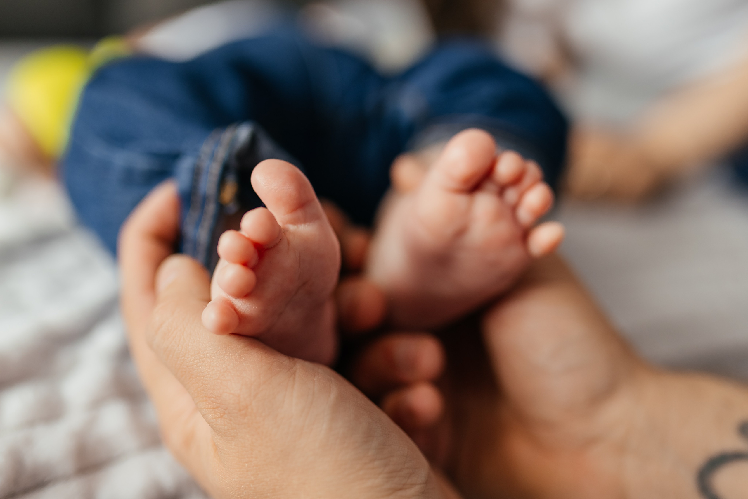 Семейные. Фотограф Облучье