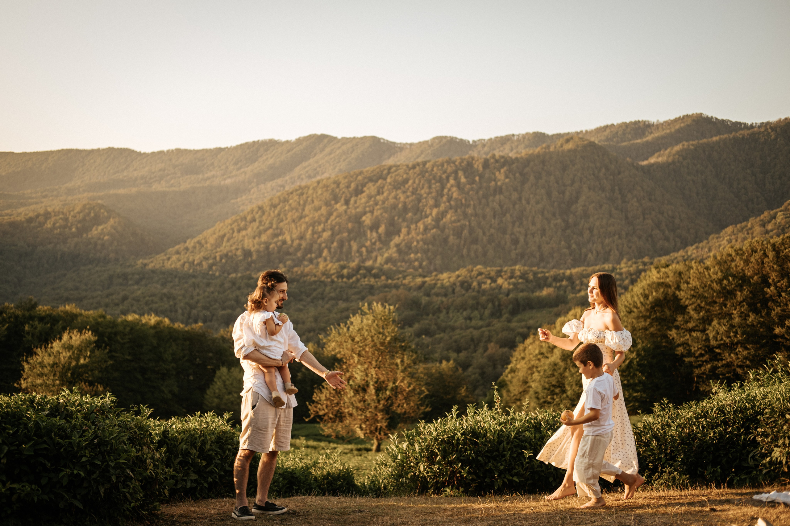 Плантации. Главная