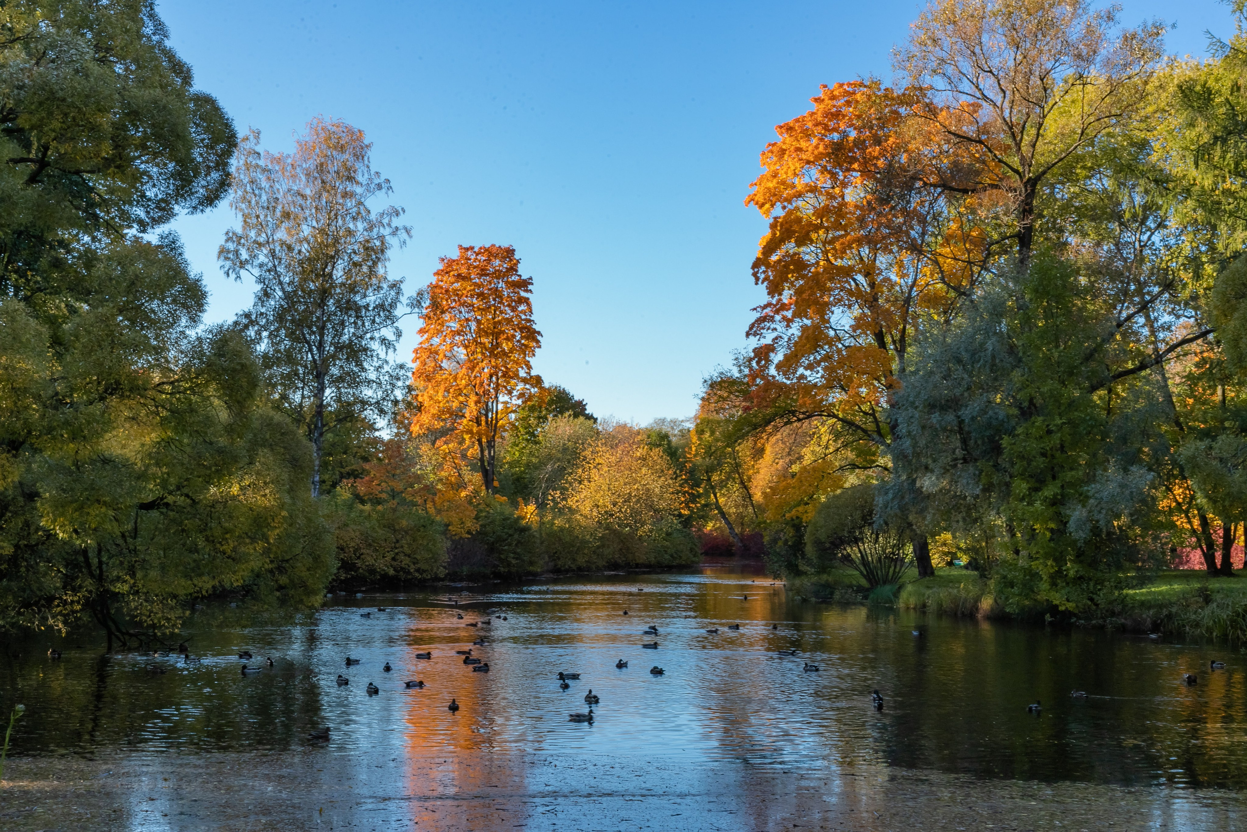Пейзажи. Фотограф в Санкт-Петербурге Наталия Денисова