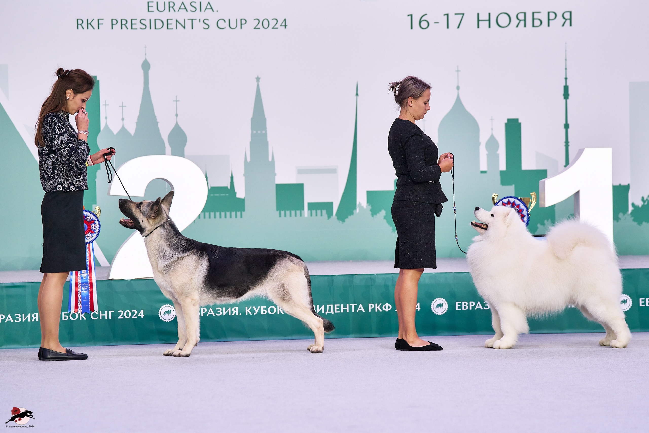 17.11.2024 «ЕВРАЗИЯ. КУБОК СНГ 2024»