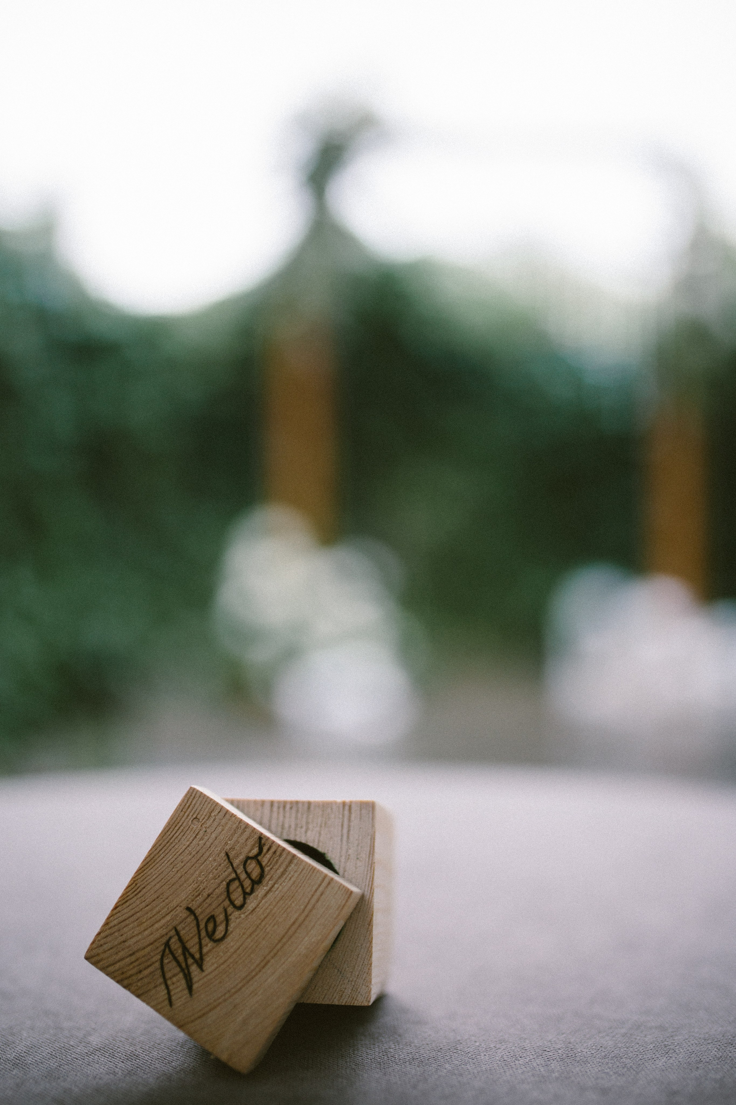 Свадьба Екатерина и Валерий. Портретный фотограф в Москве Мария Варлей