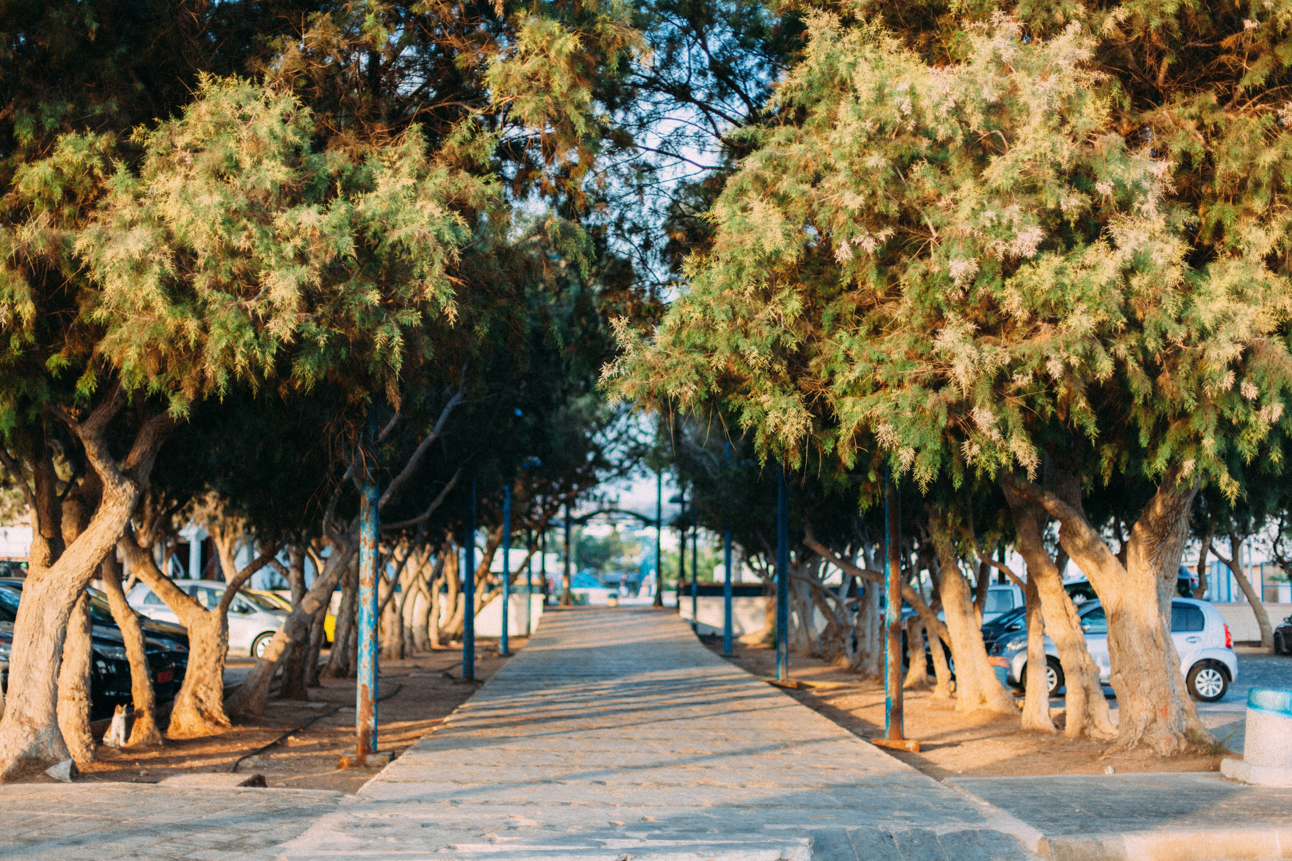 Кипр. Аня Степанова