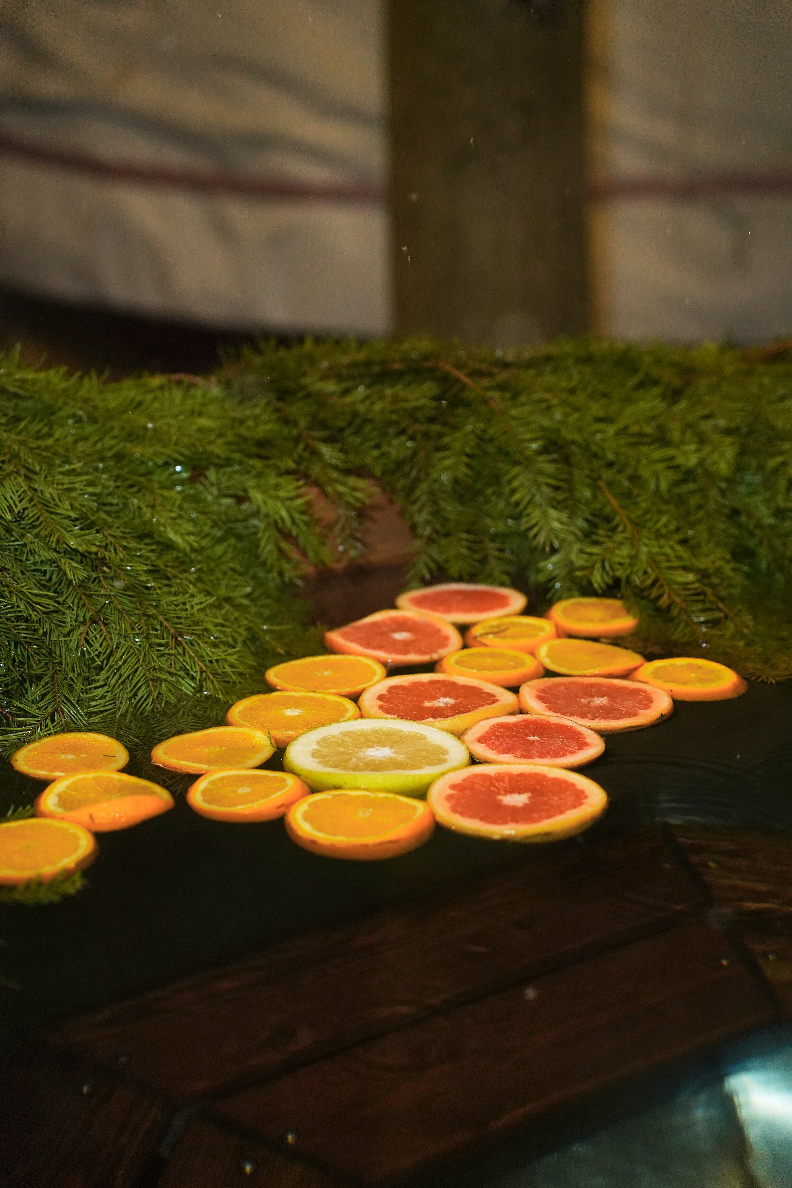 День Рождения Саши. Фотограф