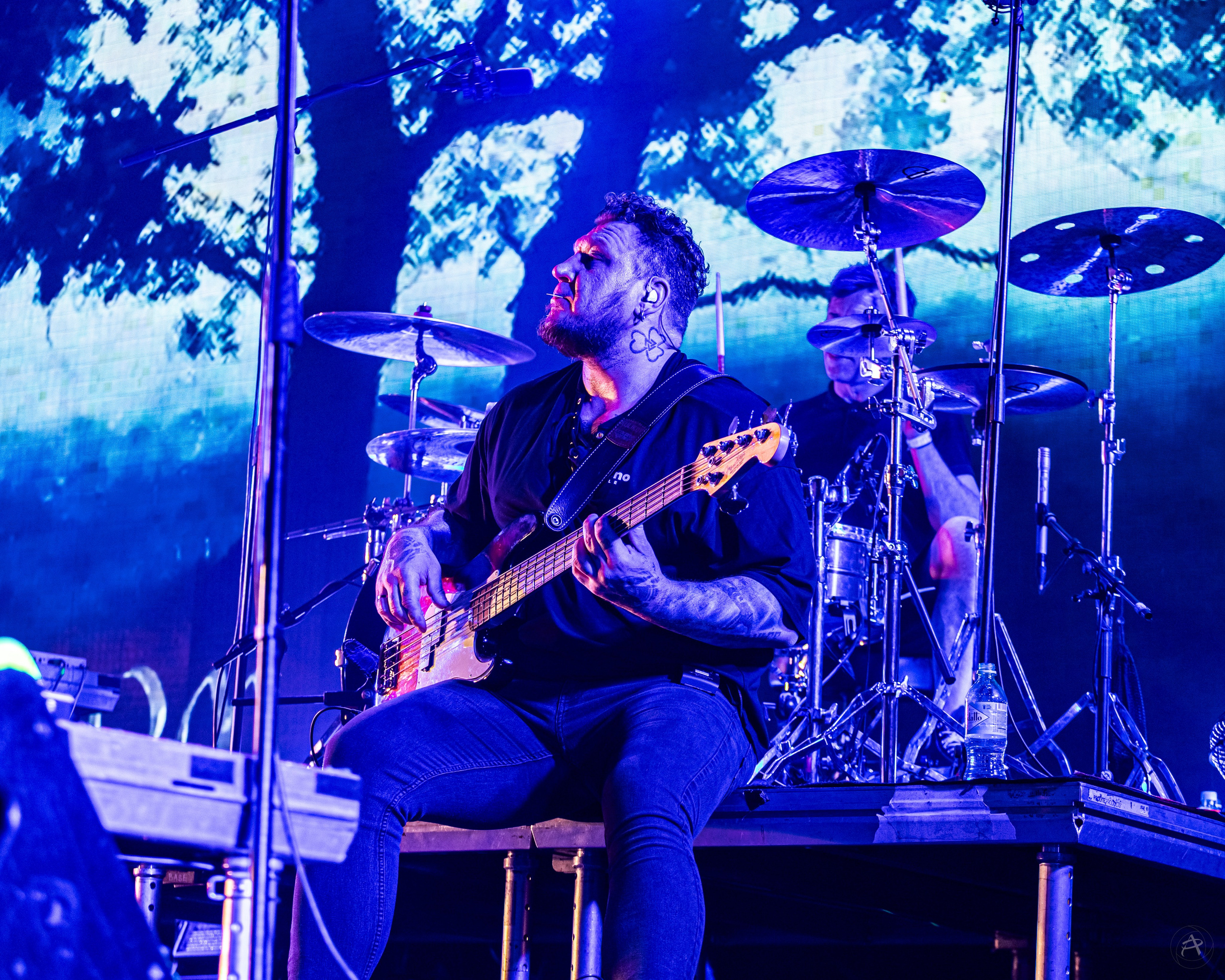 Северный Флот. BASE Club (Москва). Концертный фотограф Аля Рашпиль