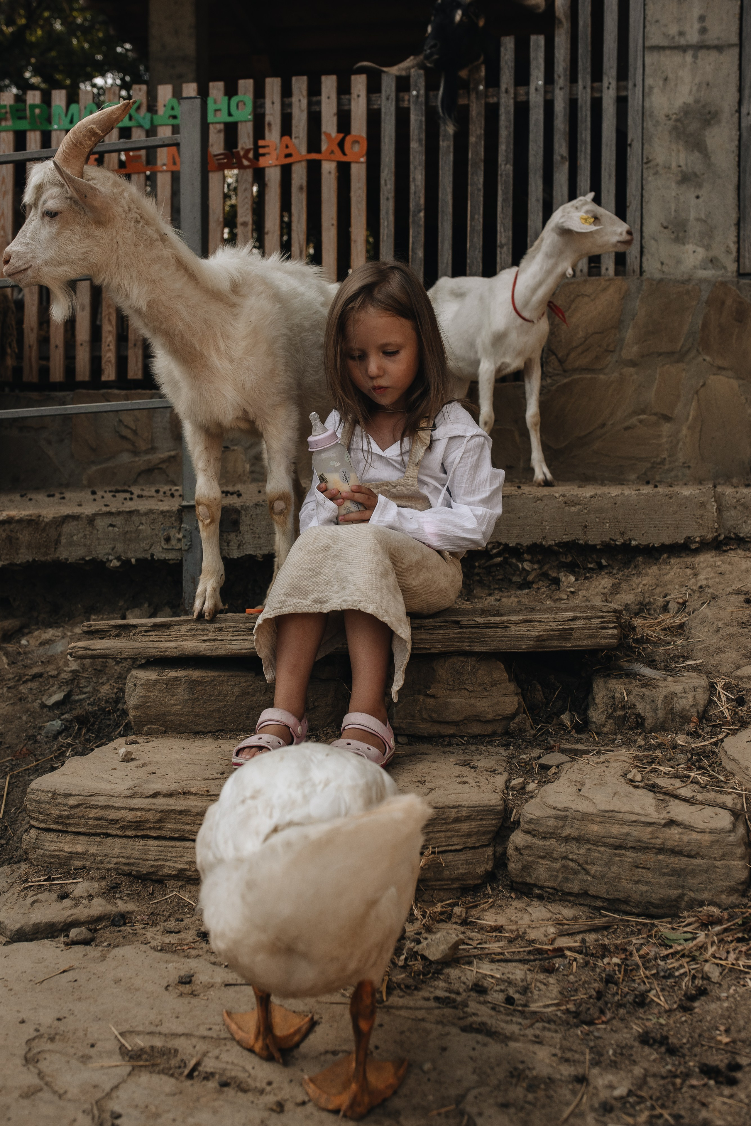 На ферме. Семейная фотосессия в Новосибирске от фотографа Ольги Коваль