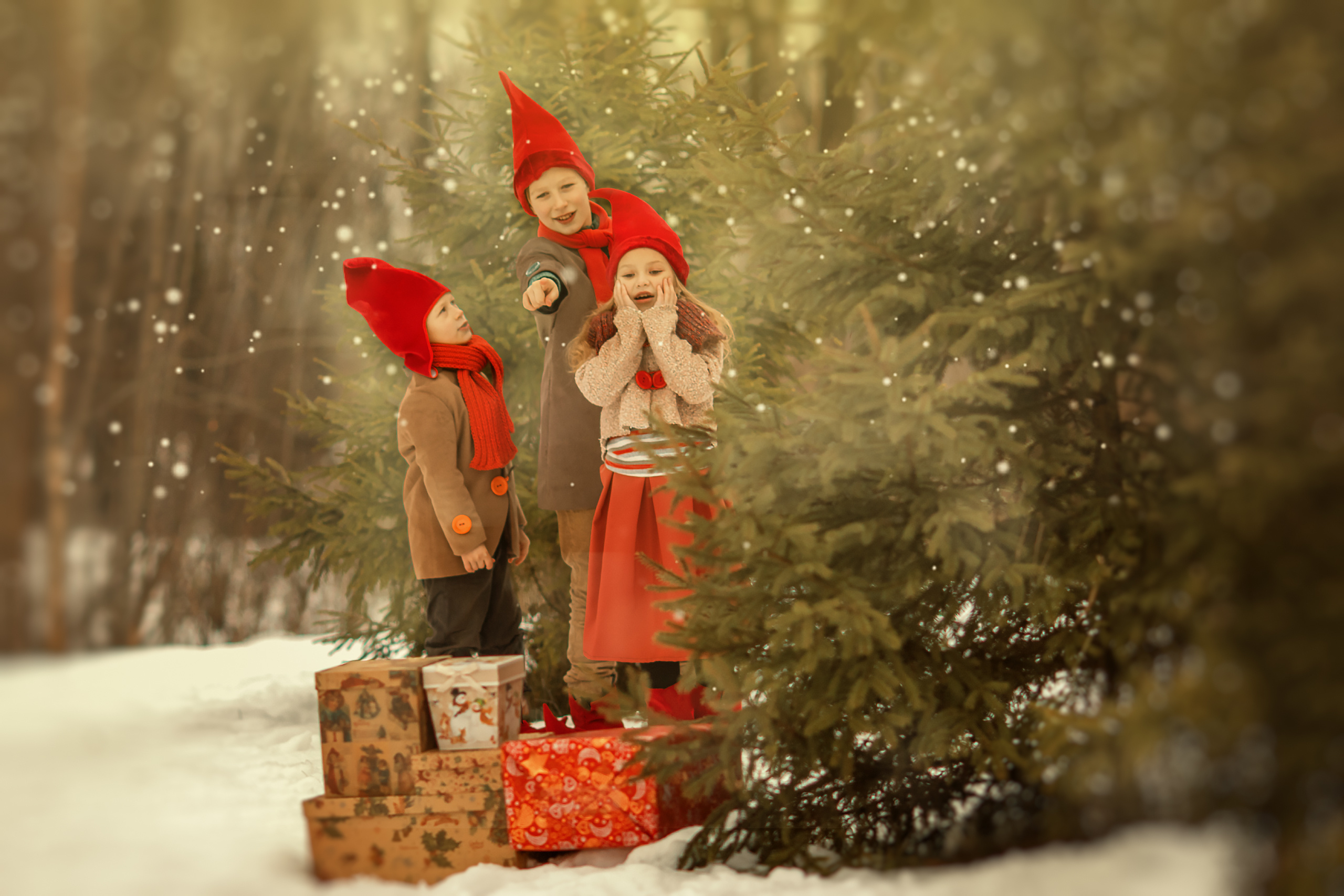 Приключение гномов. Семейный и детский фотограф в Ярославле Абрамов Артём