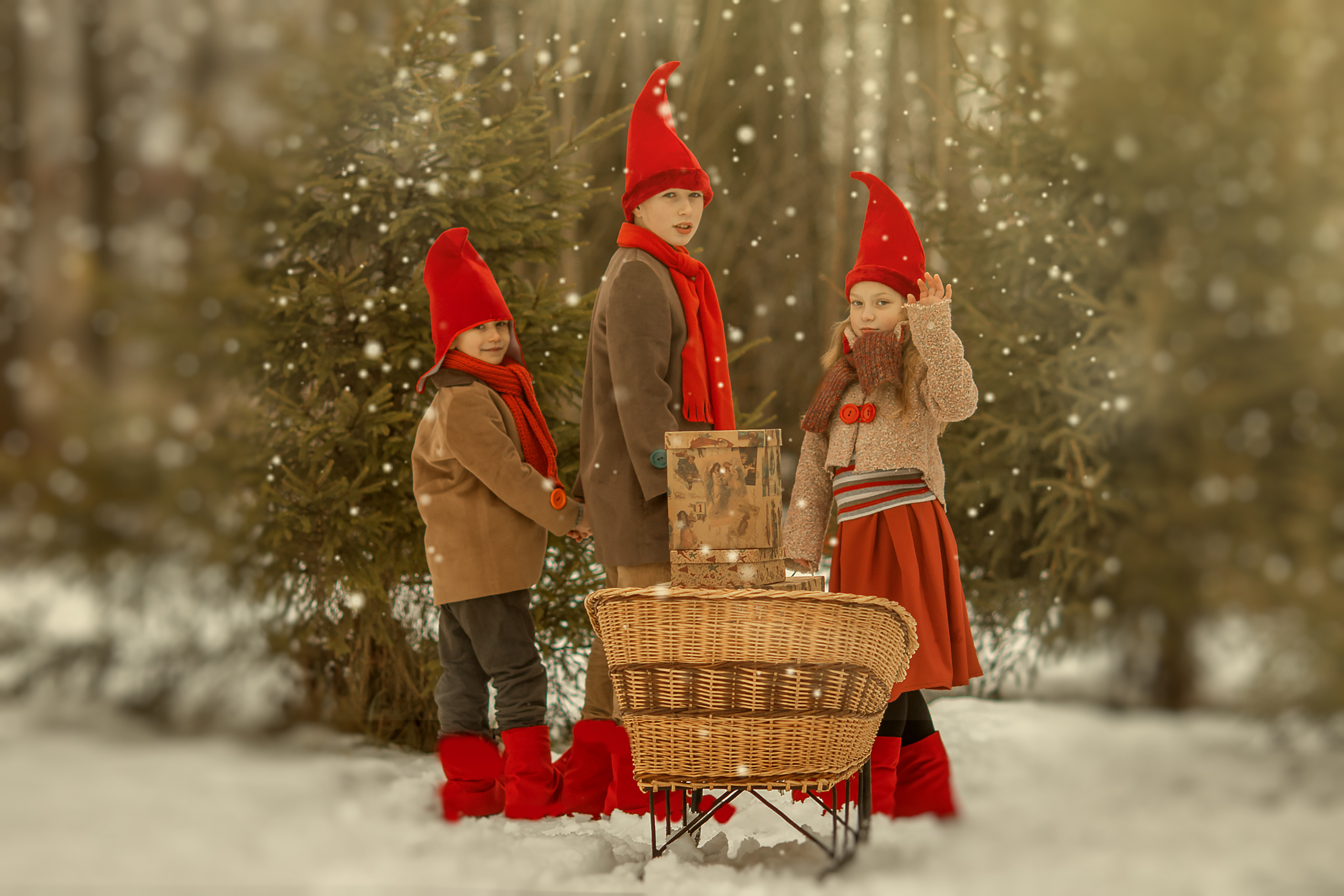 Приключение гномов. Семейный и детский фотограф в Ярославле Абрамов Артём