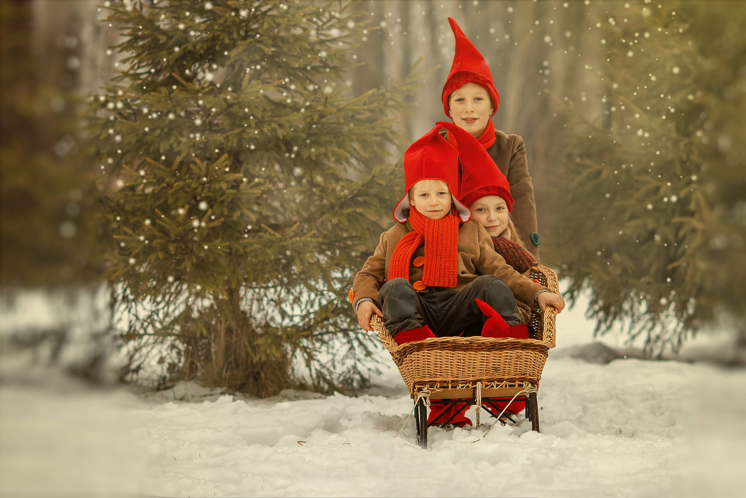 Приключение гномов. Семейный и детский фотограф в Ярославле Абрамов Артём