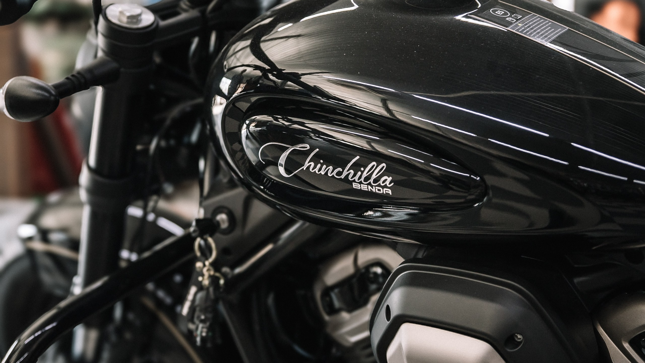 Benda ChinChilla. ......