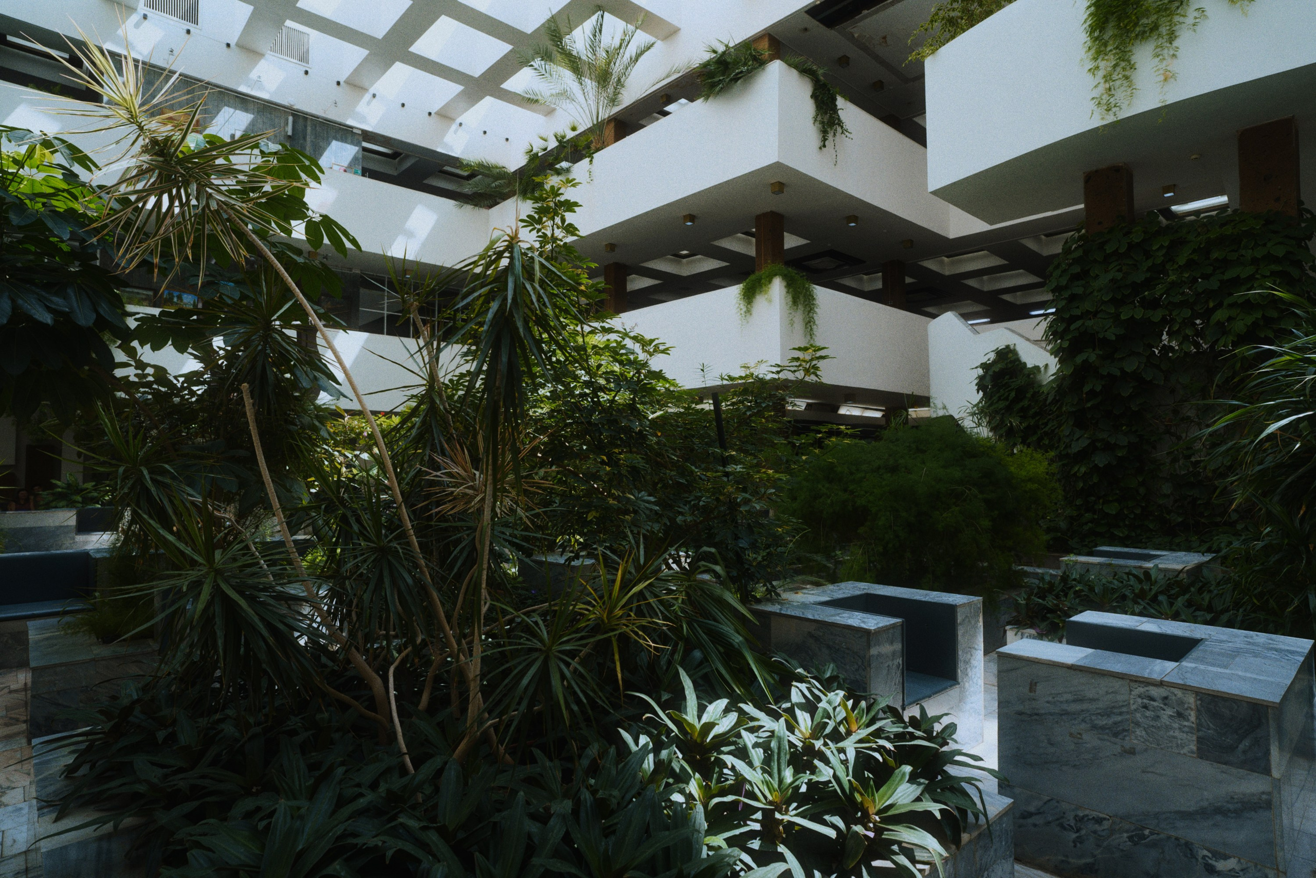 DSPL. Фотограф Юрин Евгений