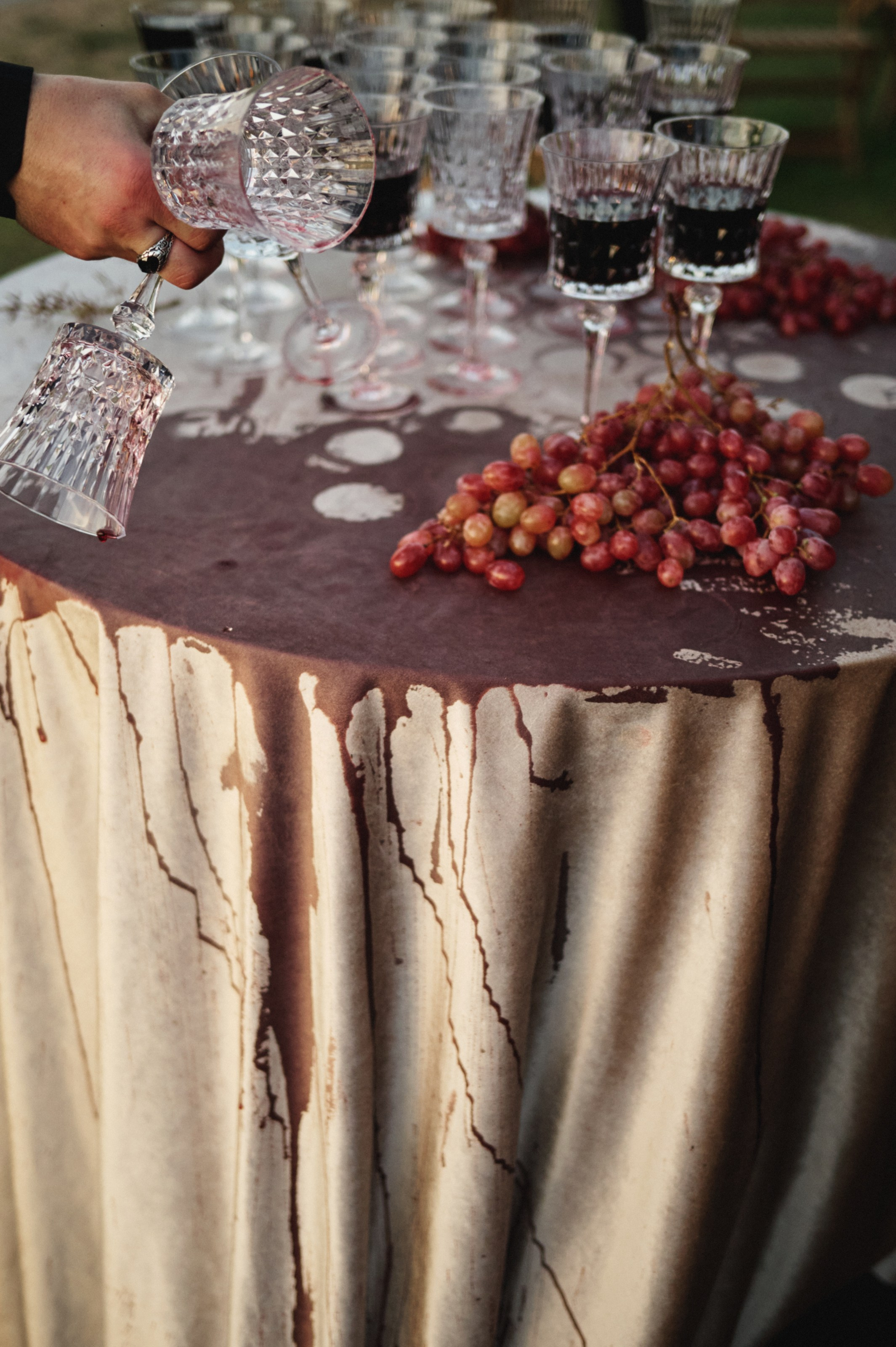 Mary Gu & Toli Wildways. VENSKAYA WEDDING & EVENT PLANNER