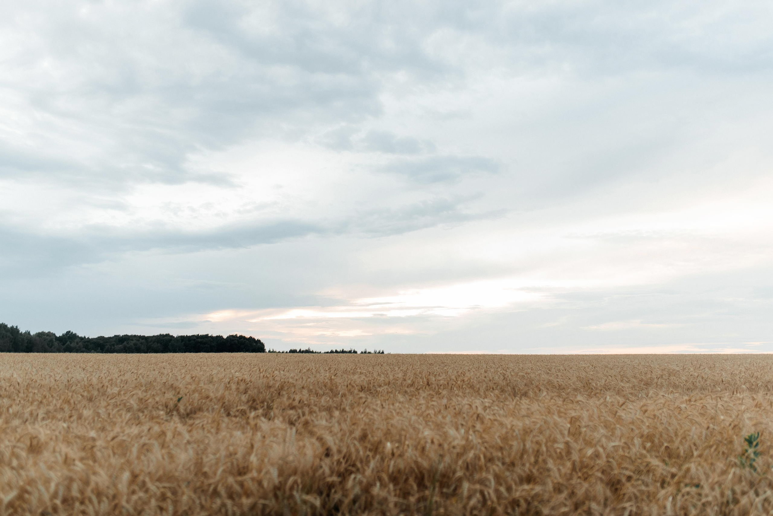 Марина и Илья. Свадебный и семейный фотограф Кокушева Юлия Нижний Новгород