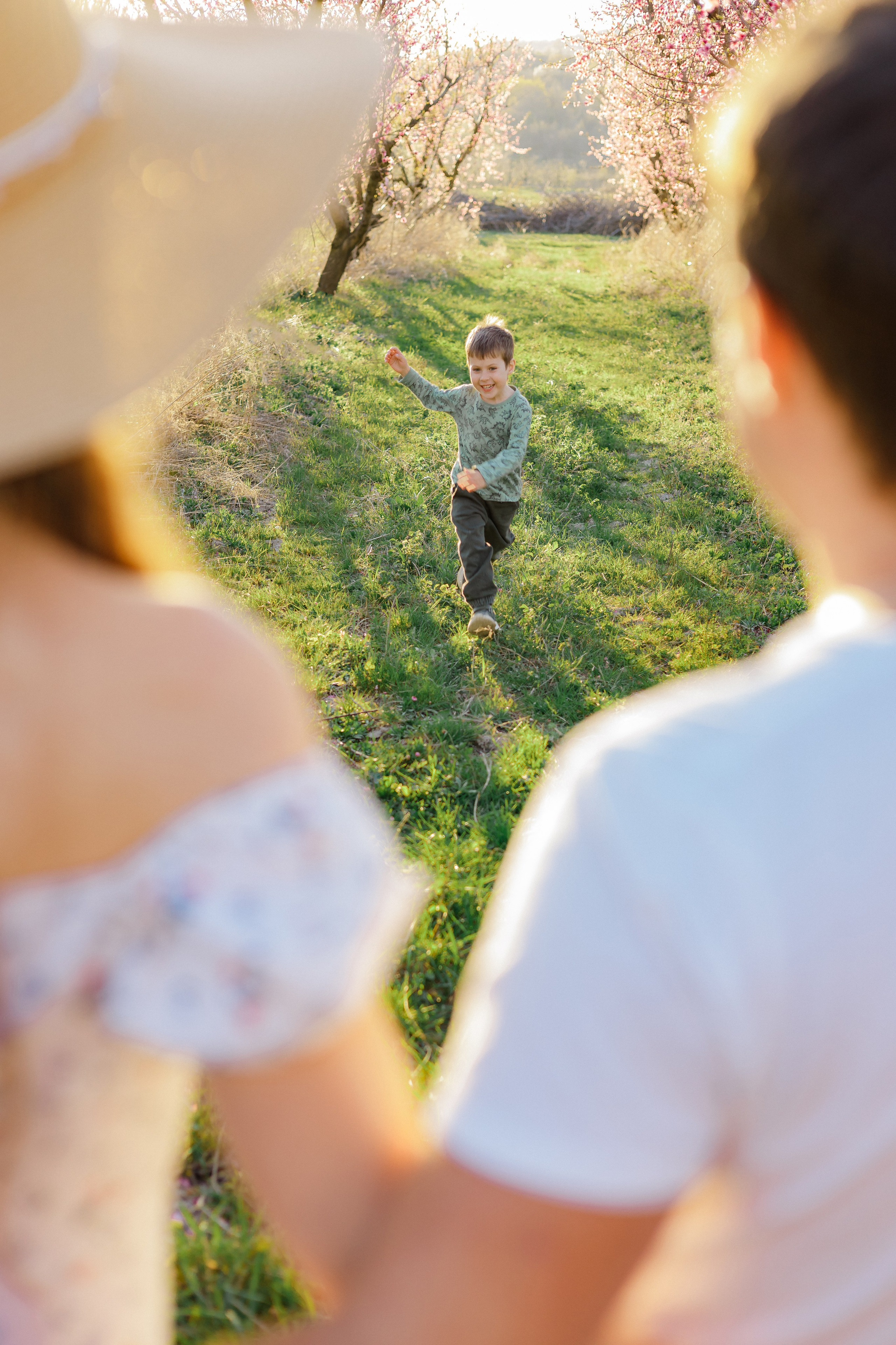 Закат в персиковом саду