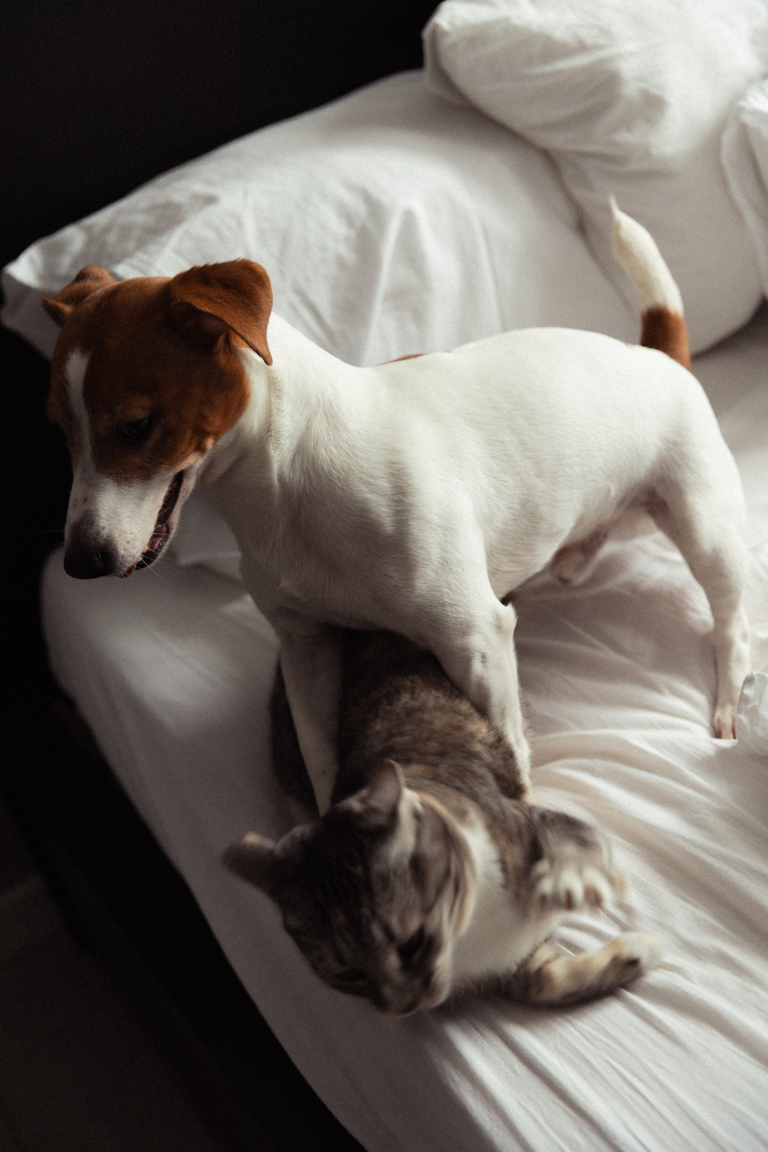 Арина и Илья. Фотограф в Нижнем Новгороде Воробьева Анжела