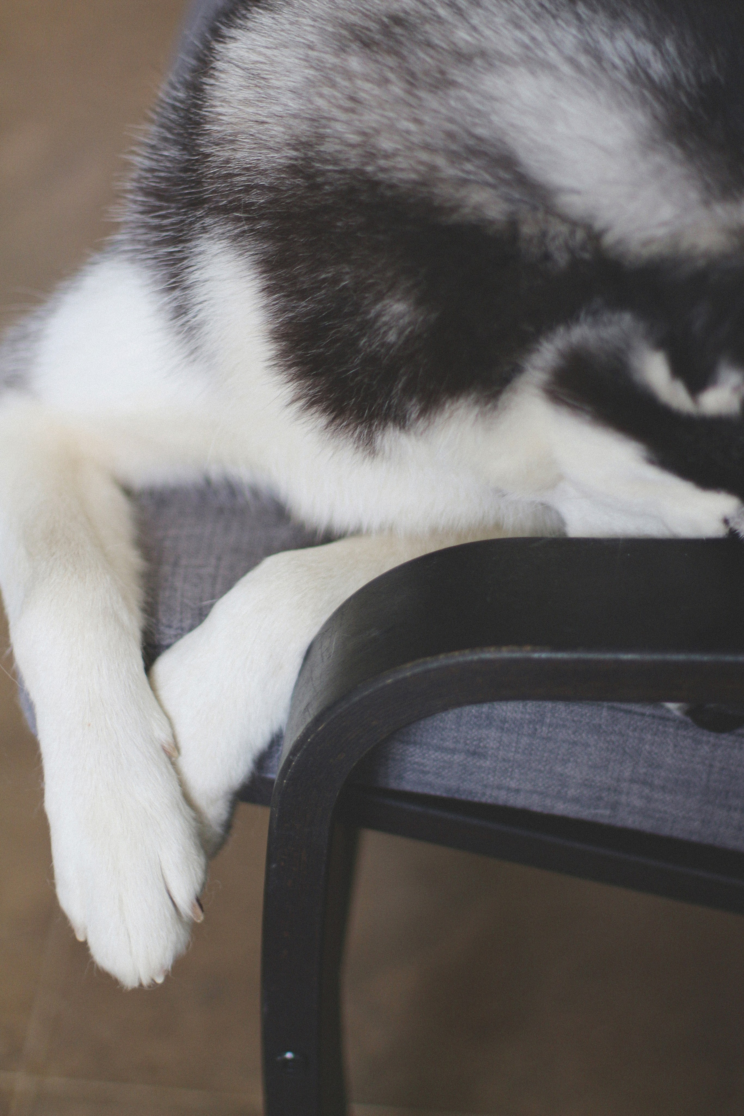 Марта. Фотограф Адигамова Юлия в Петербурге