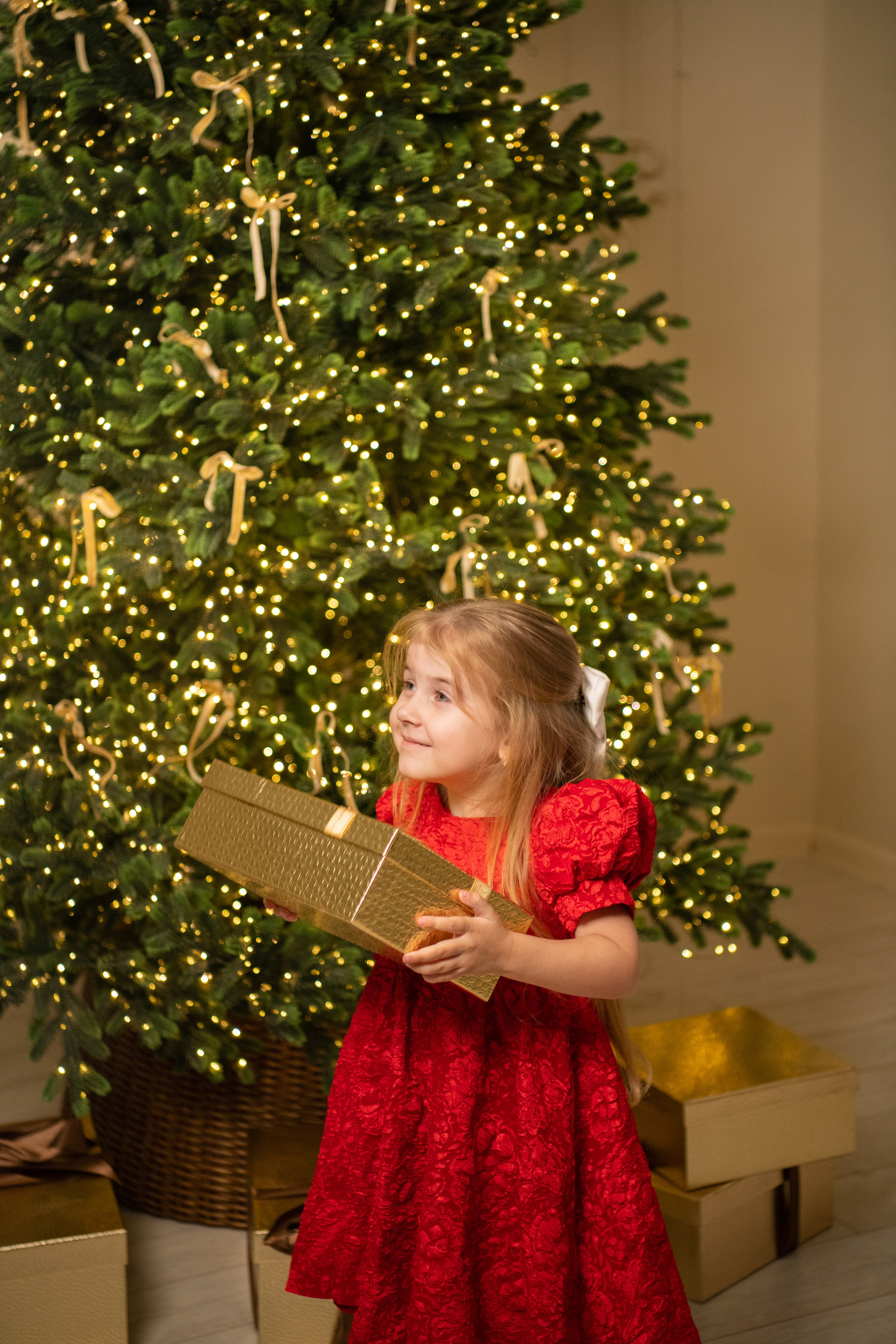 Фотопроект «НОВОГОДНЯЯ СКАЗКА». Фотохудожник Нина Жихарева