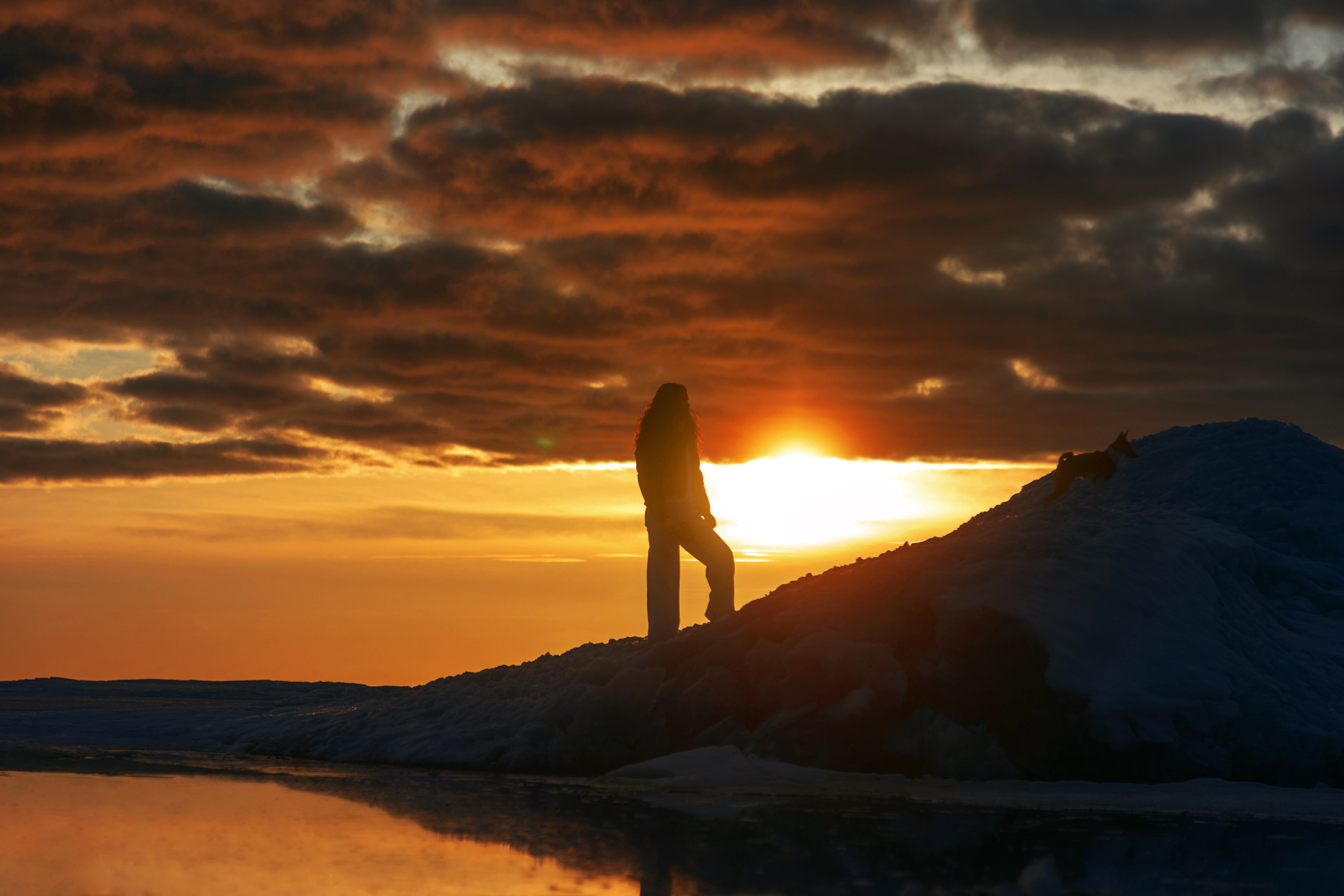 Закатный залив. Фотограф анималист Никита Натальный