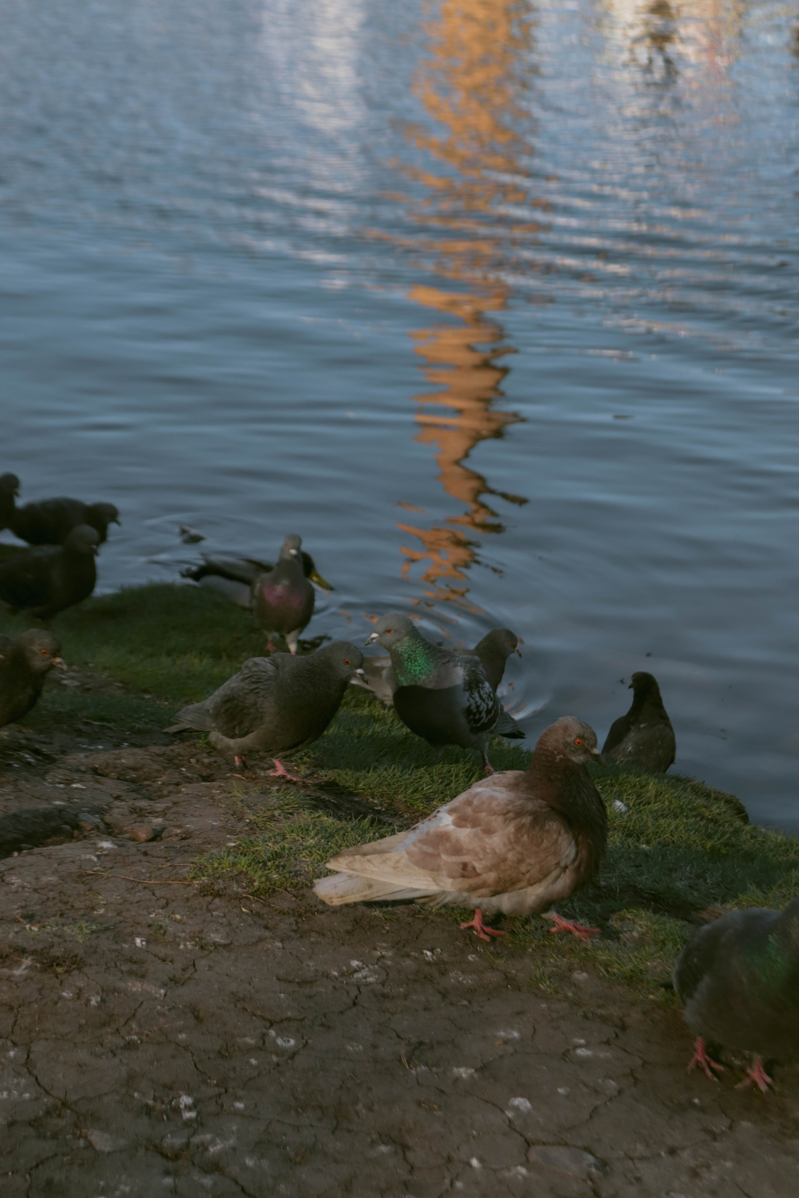 Альметьевск. Фотограф и видеограф в Бугульме Аня Трутнева