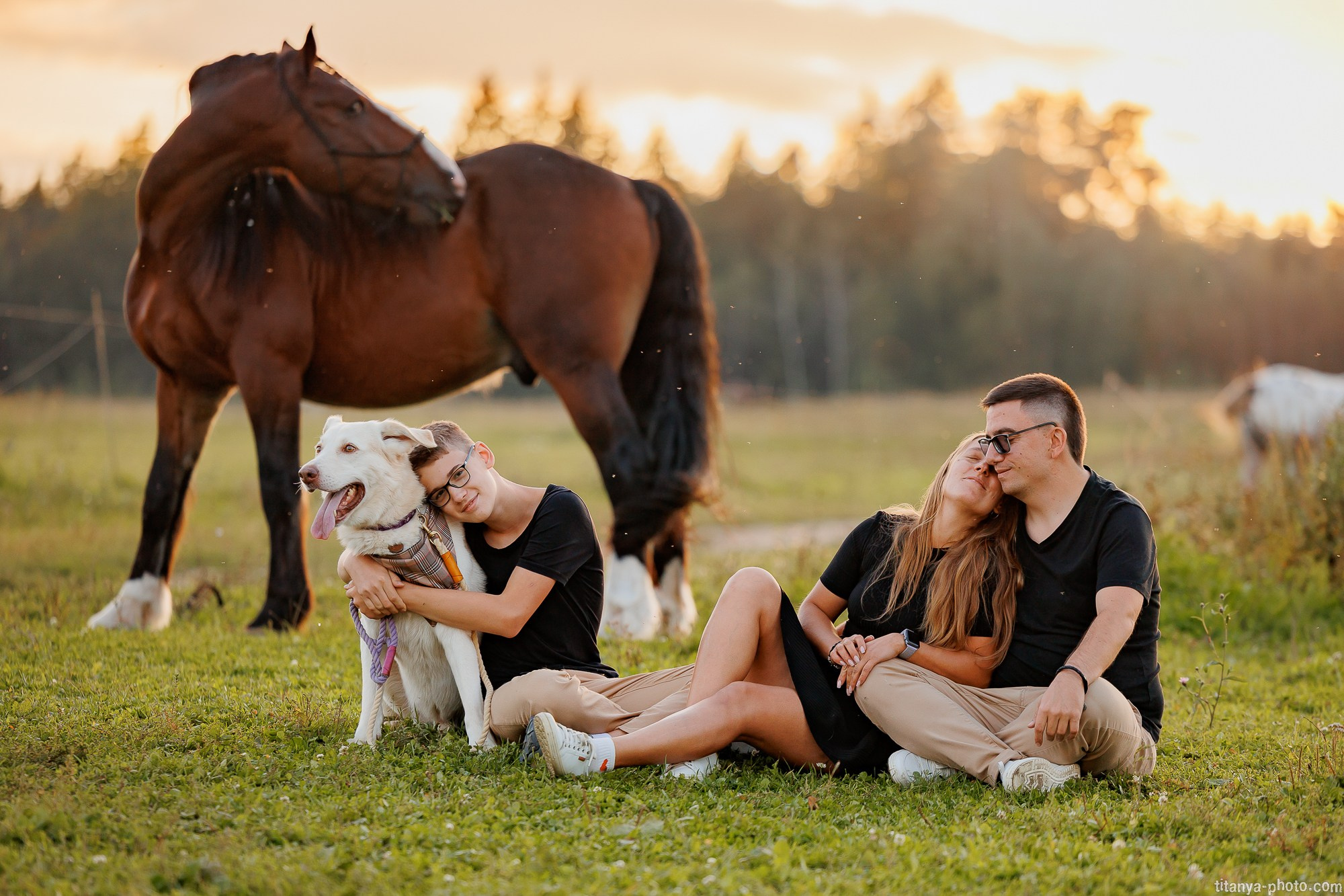 Закатная семейная фотосессия: про Настю и её дружную семью. Фотограф собак, фотограф-анималист Аня Титова (Titanya). Москва
