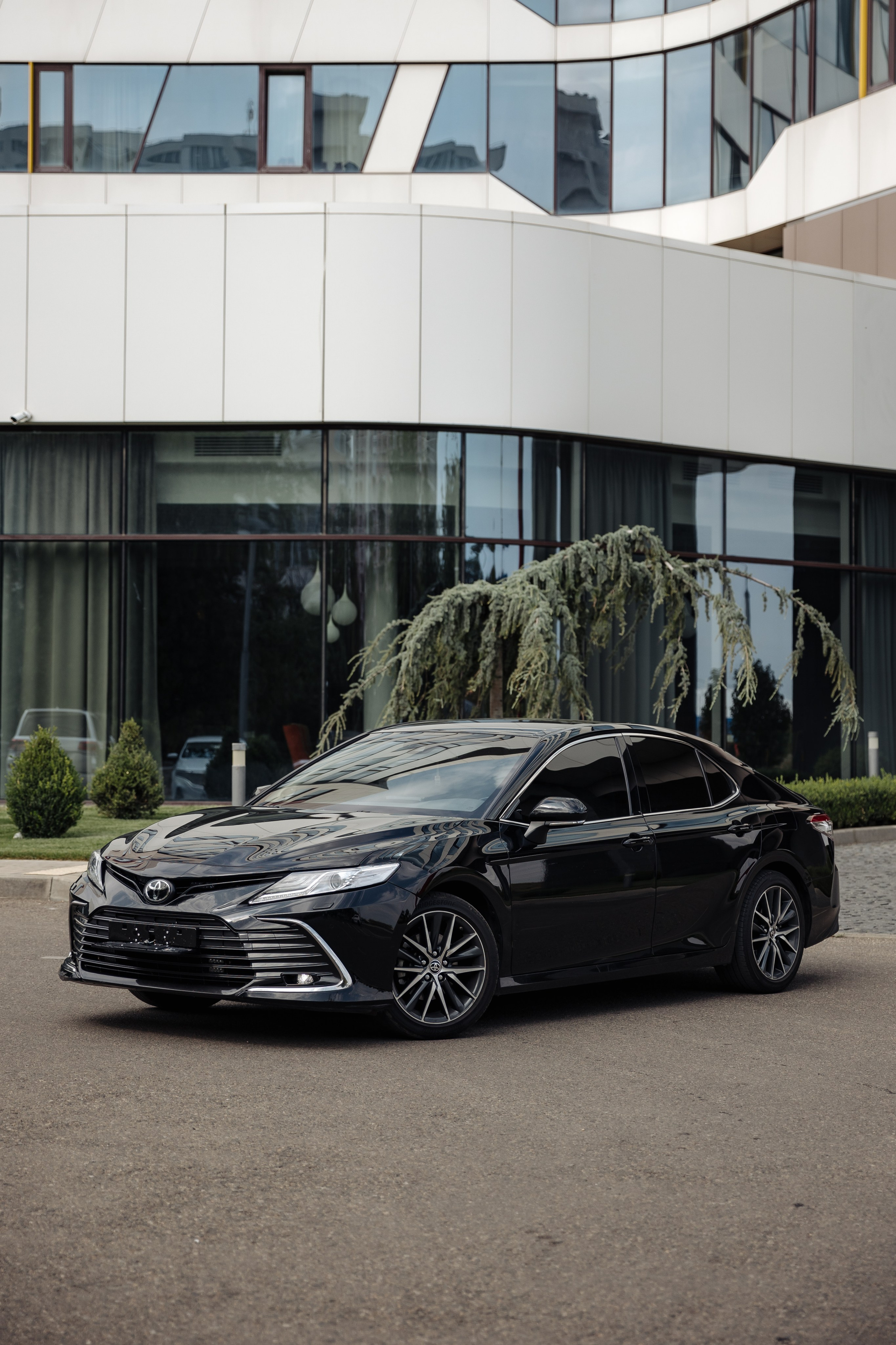 Э & V. Фотограф Дзюба Марина. Свадебный фотограф