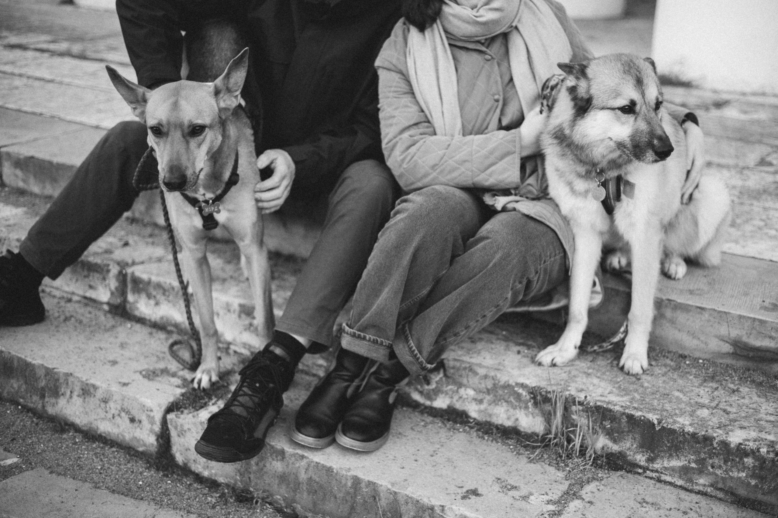 Нелли, Лёша, Рэй и Норд. Фотограф Анна Луценко Москва