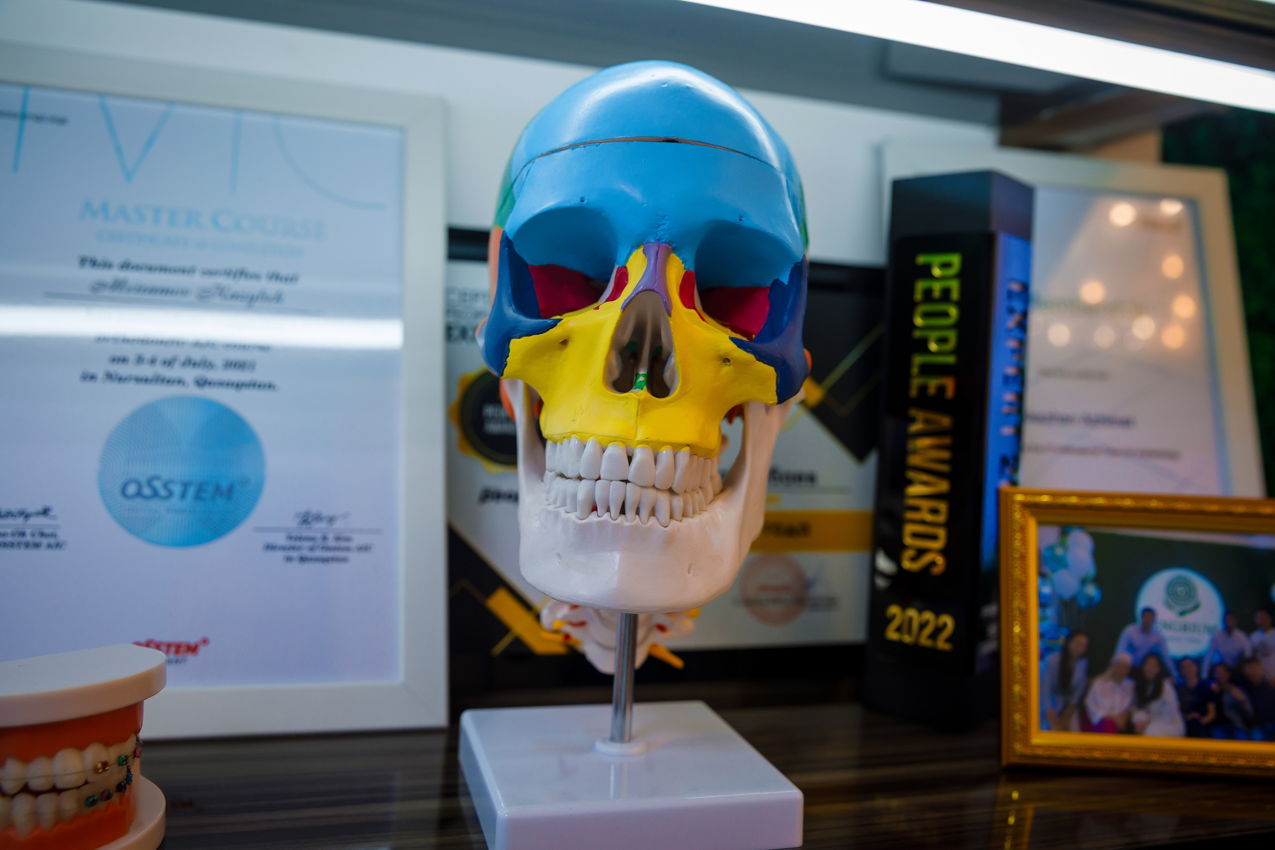 Стамотология. Семейный и Свадебный фотограф в Астане Александр Астапов